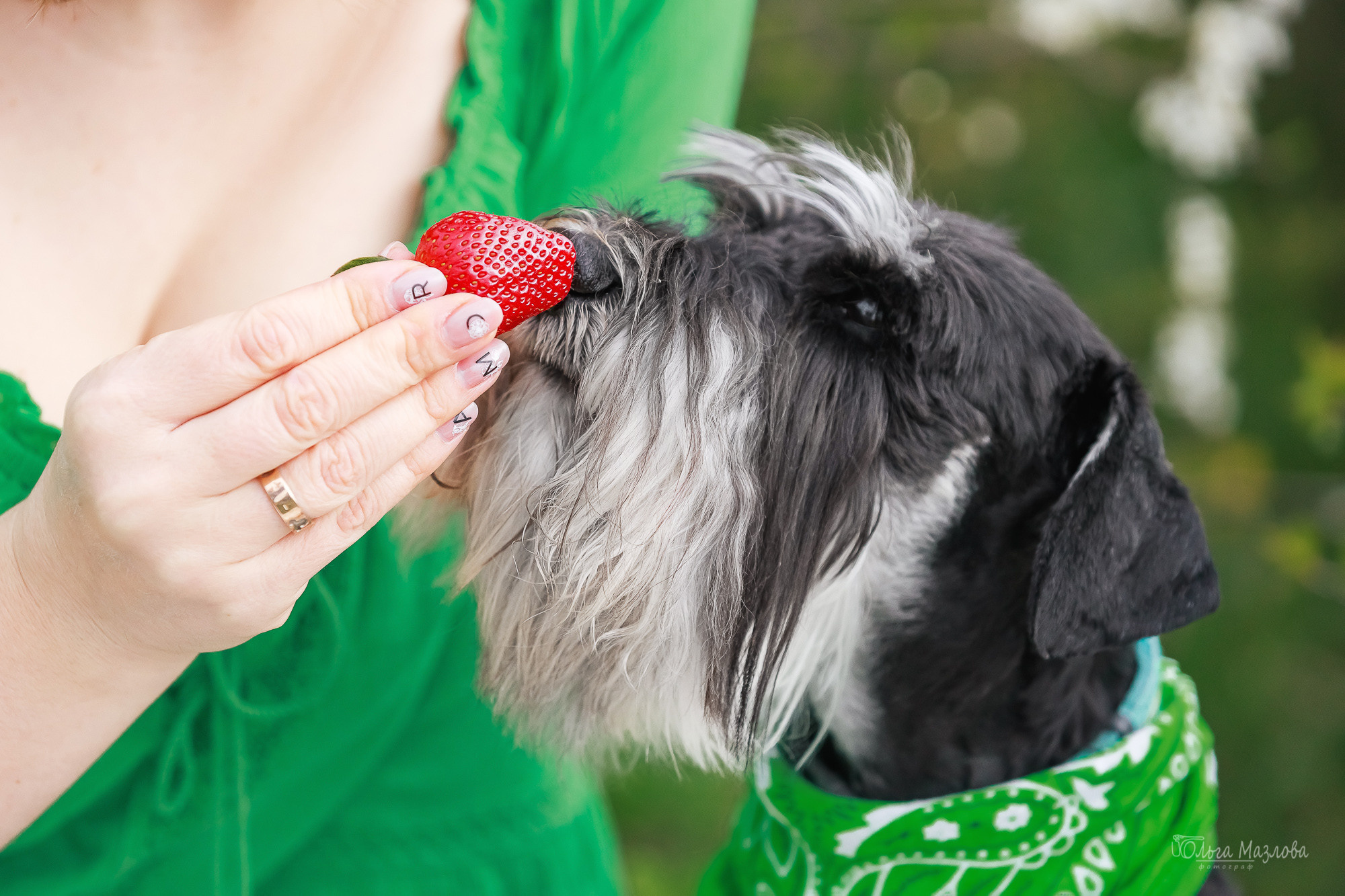 фотограф анималист в Саратове