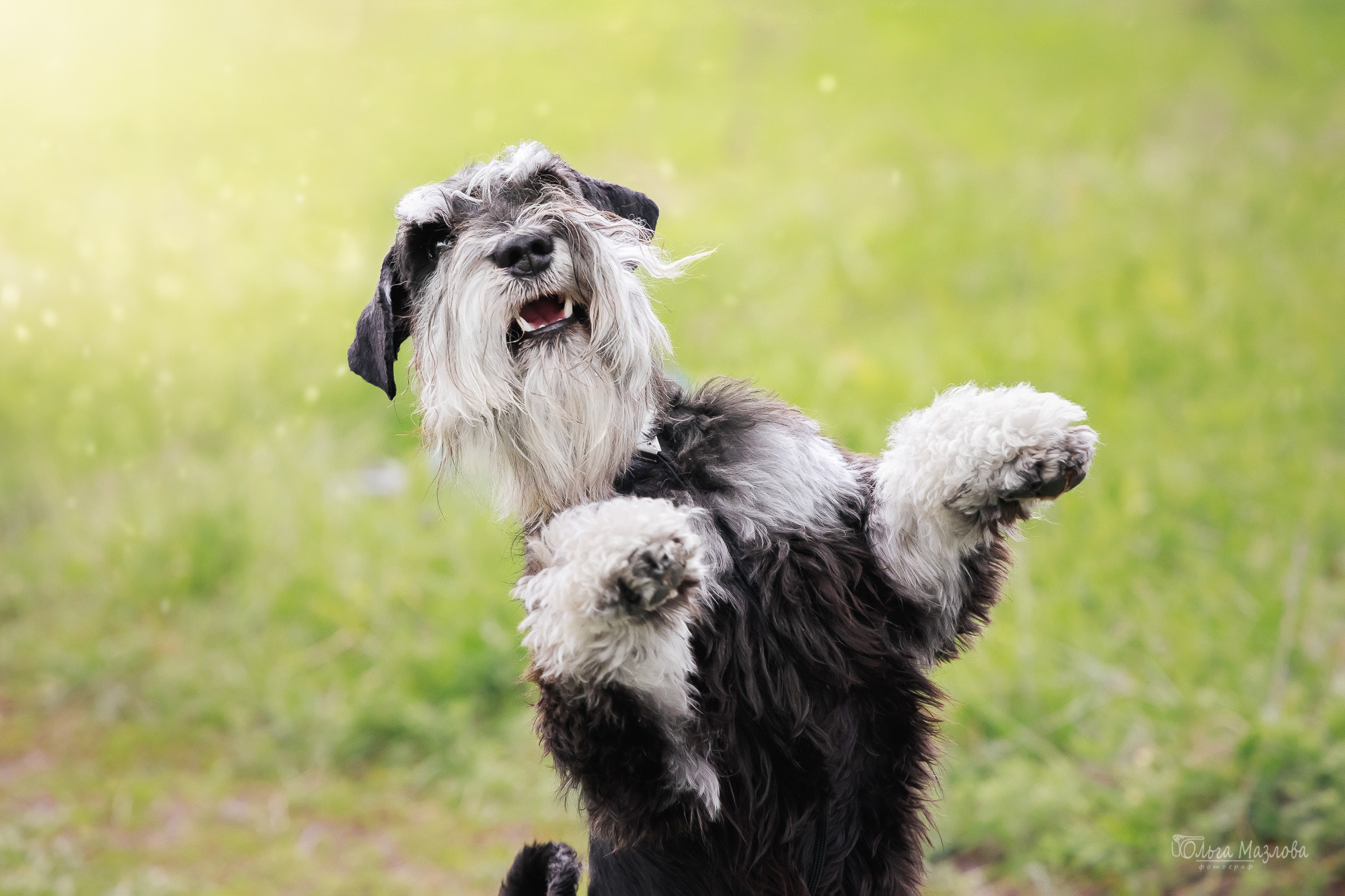 Семейная фотосессия в Саратове, семейный фотограф Саратов. Фотограф в Саратове Ольга Мазлова