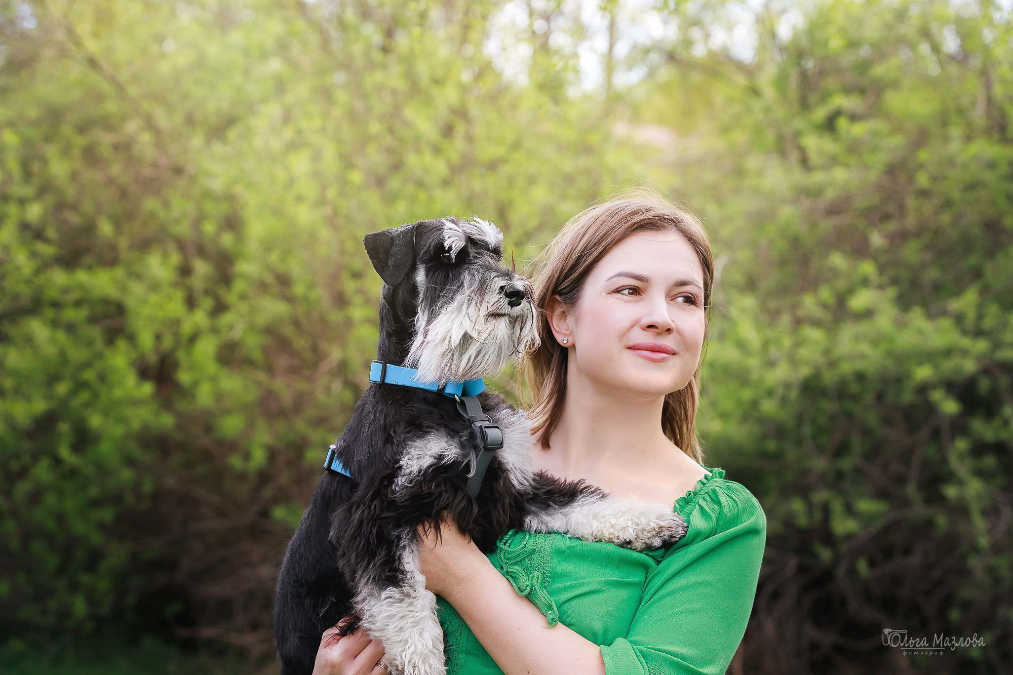 анималист Саратов