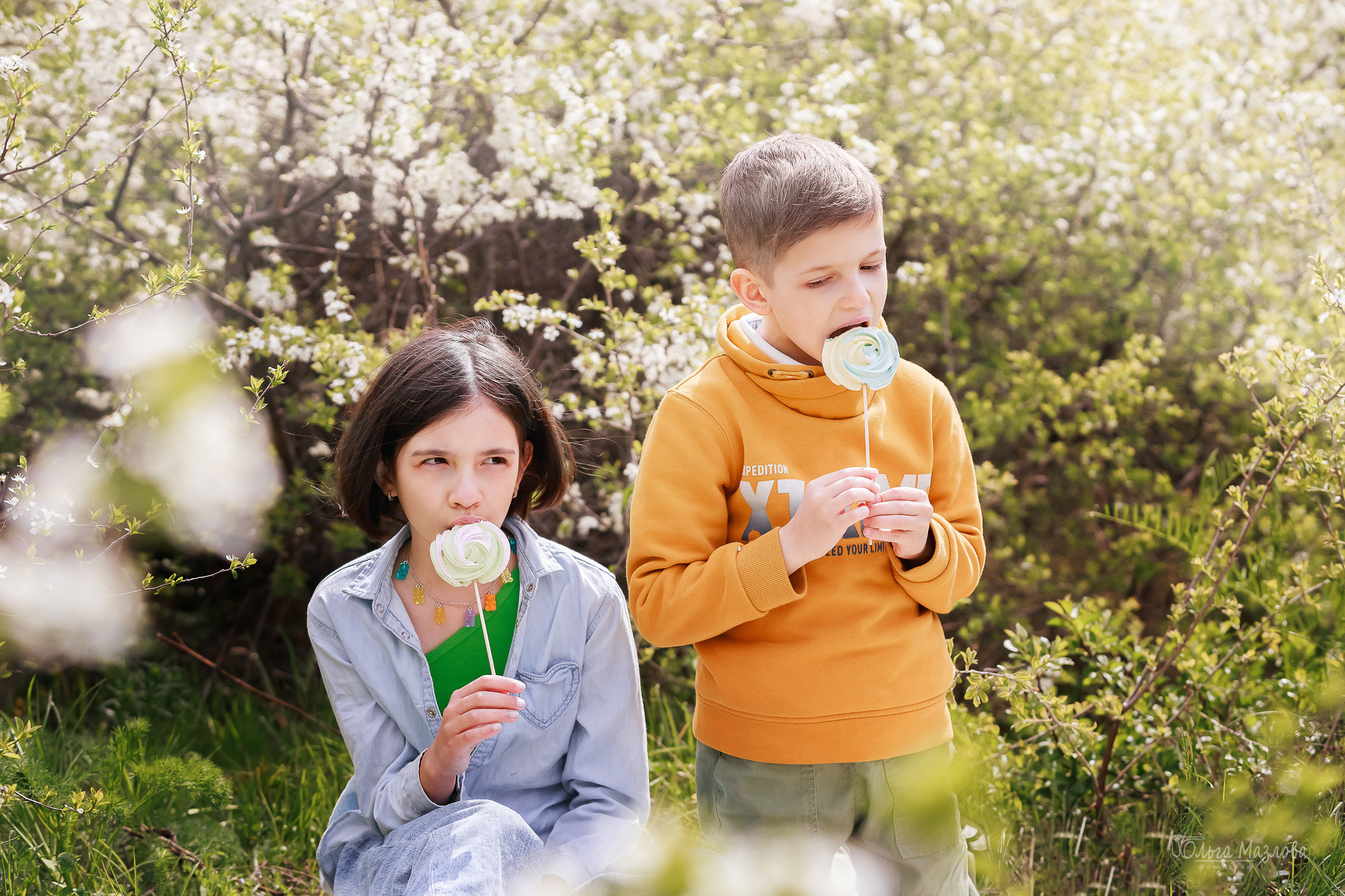 Семейная фотосессия в Саратове, семейный фотограф Саратов. Фотограф в Саратове Ольга Мазлова