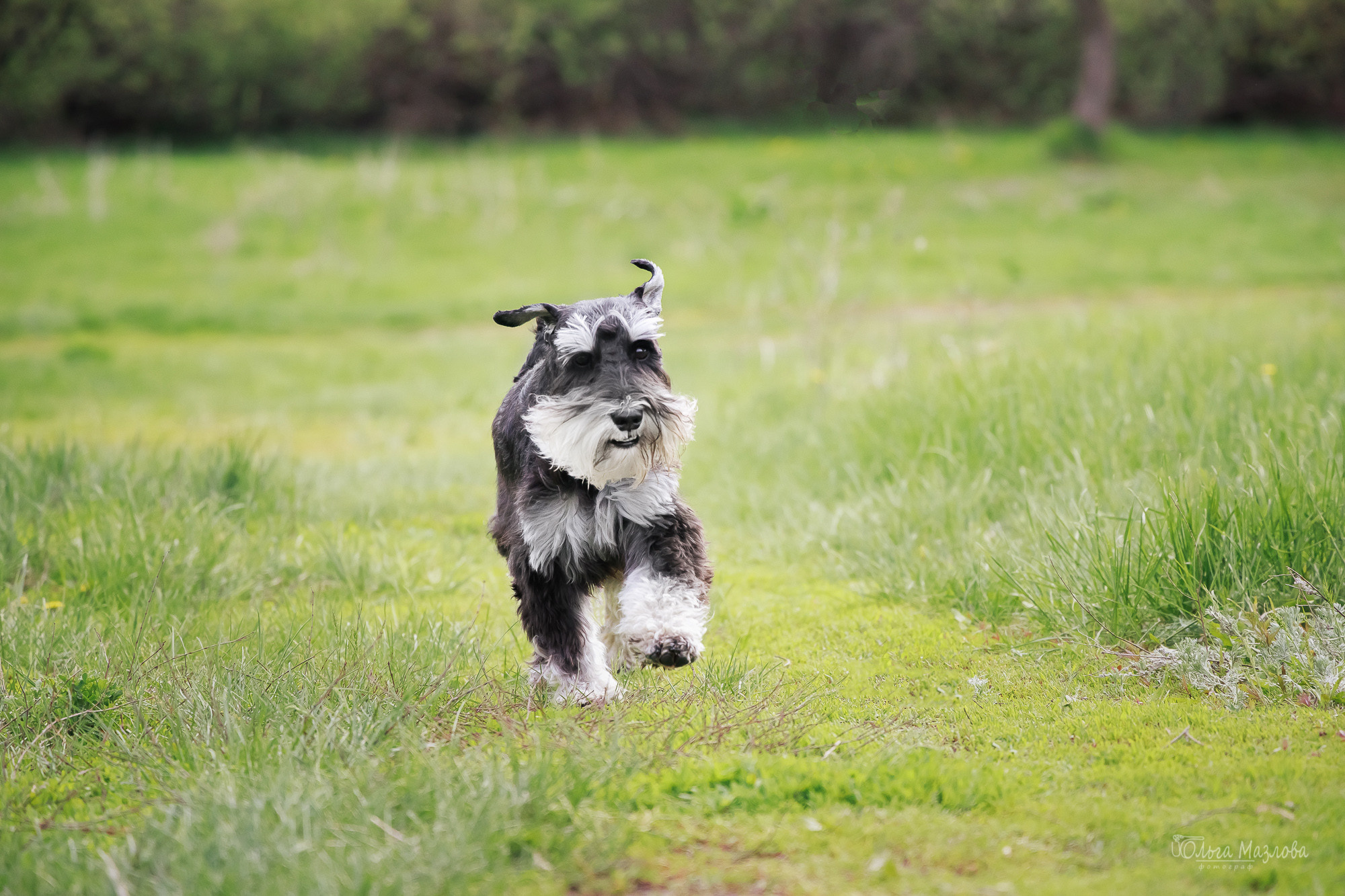 Семейная фотосессия в Саратове, семейный фотограф Саратов. Фотограф в Саратове Ольга Мазлова