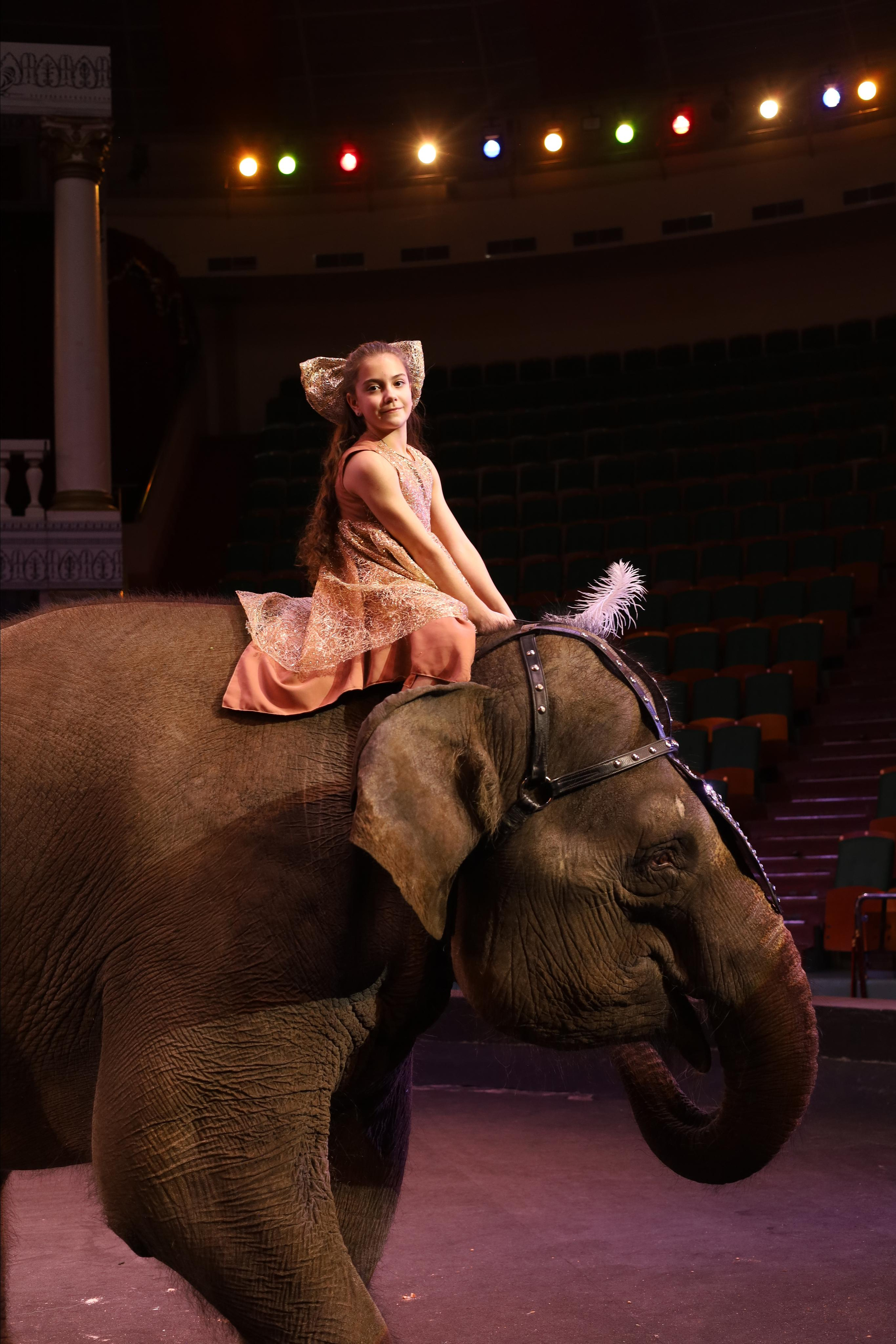 И снова слоны!. Детский сказочный фотограф Ярославль