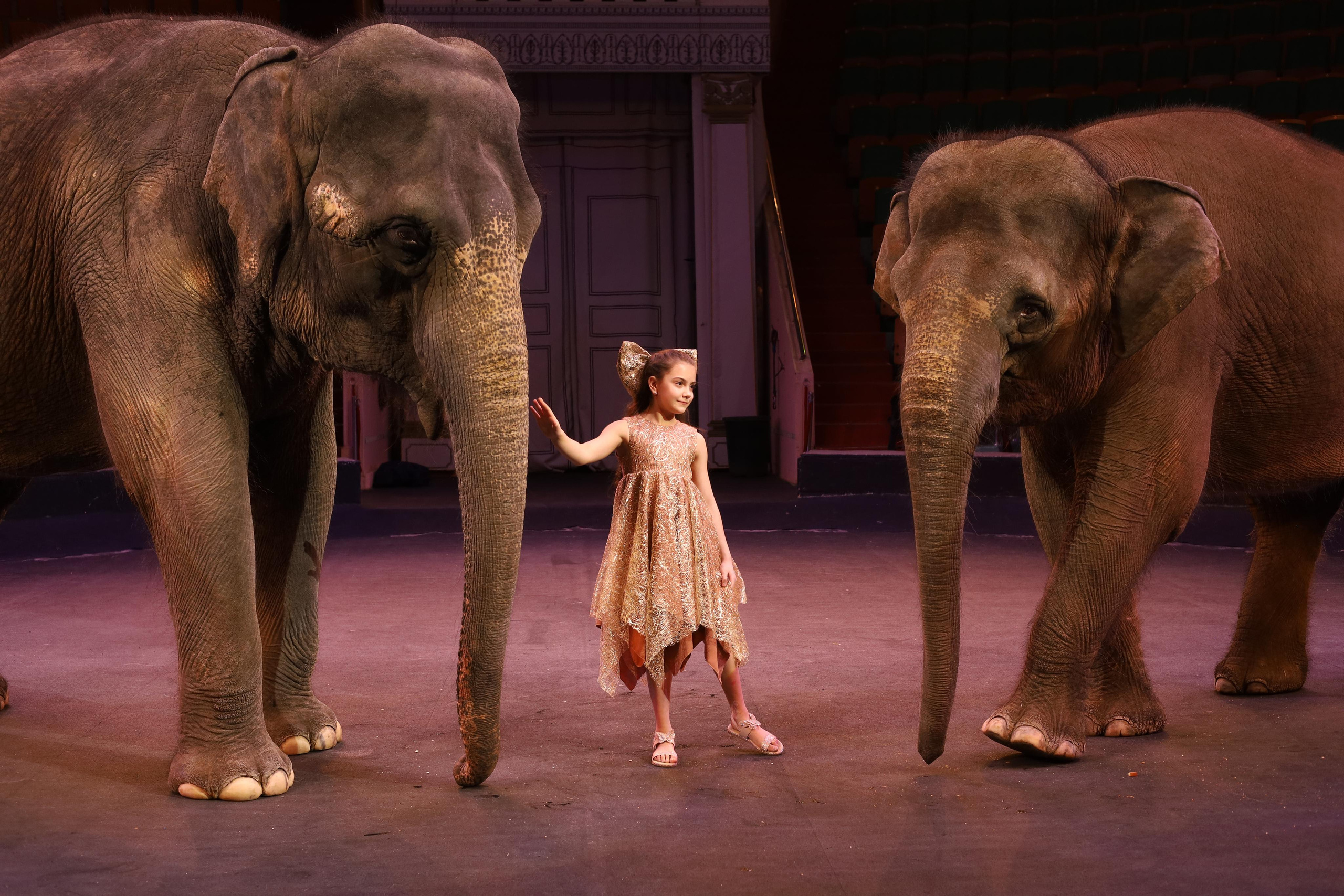 И снова слоны!. Детский сказочный фотограф Ярославль