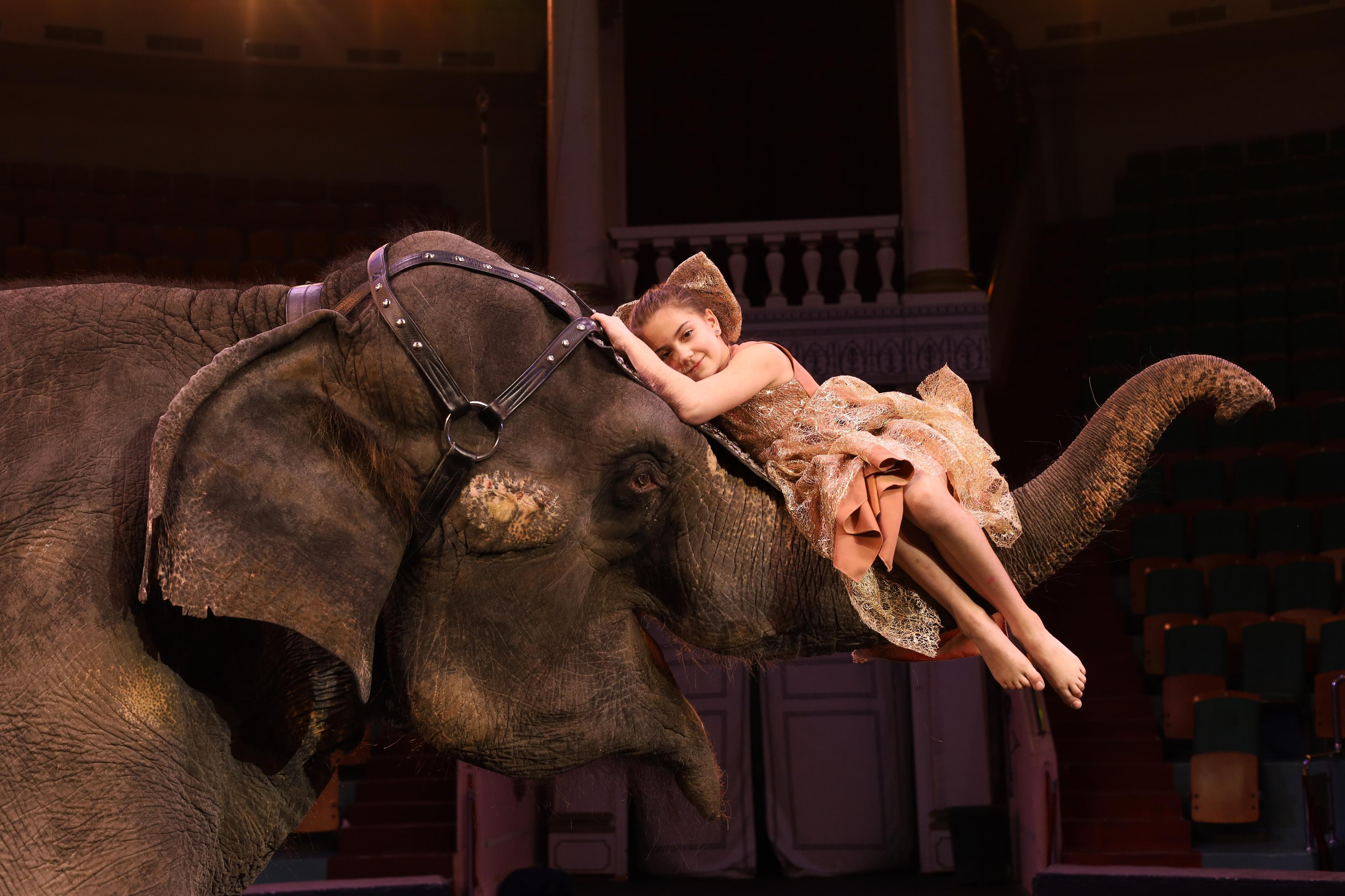 И снова слоны!. Детский сказочный фотограф Ярославль
