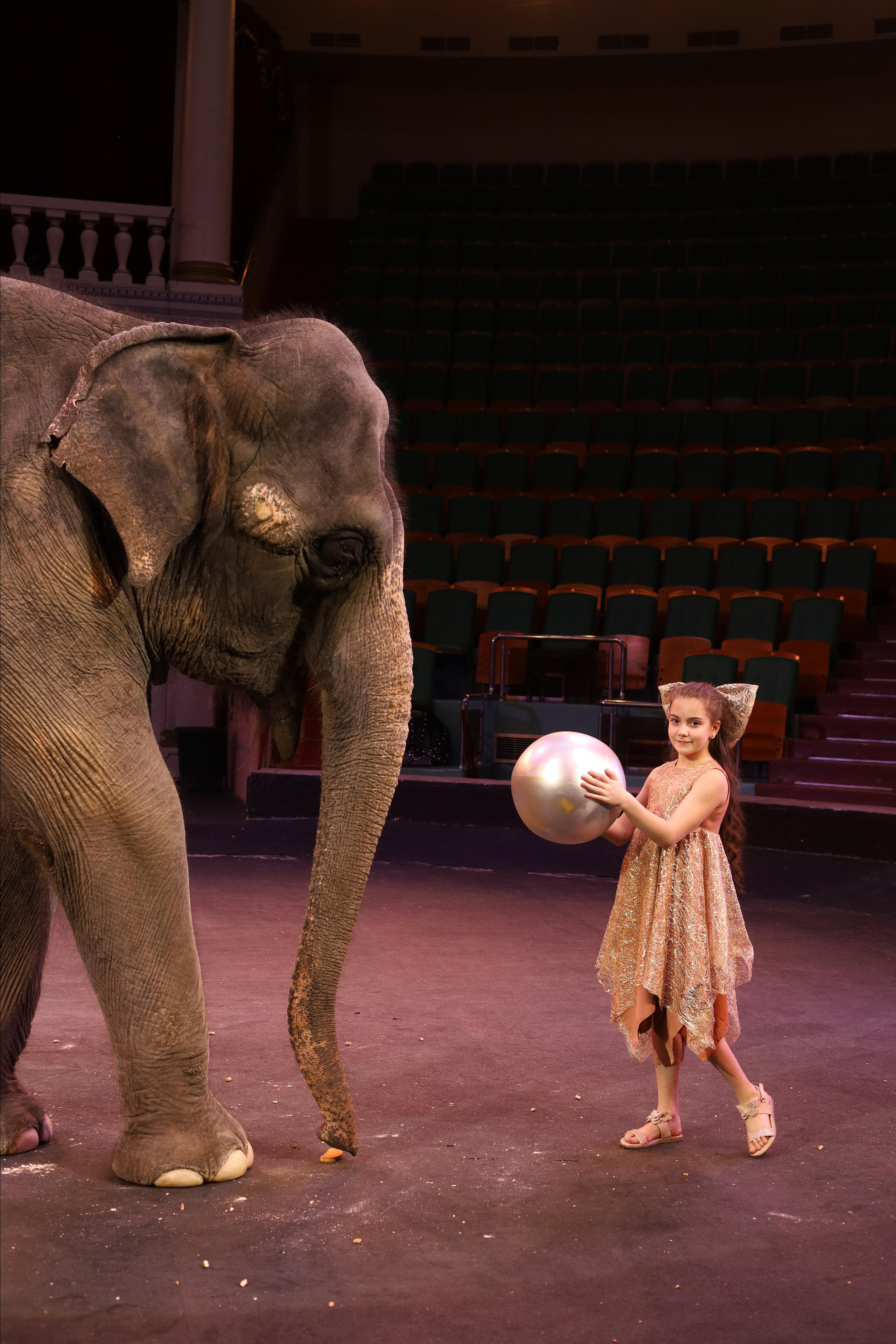 И снова слоны!. Детский сказочный фотограф Ярославль