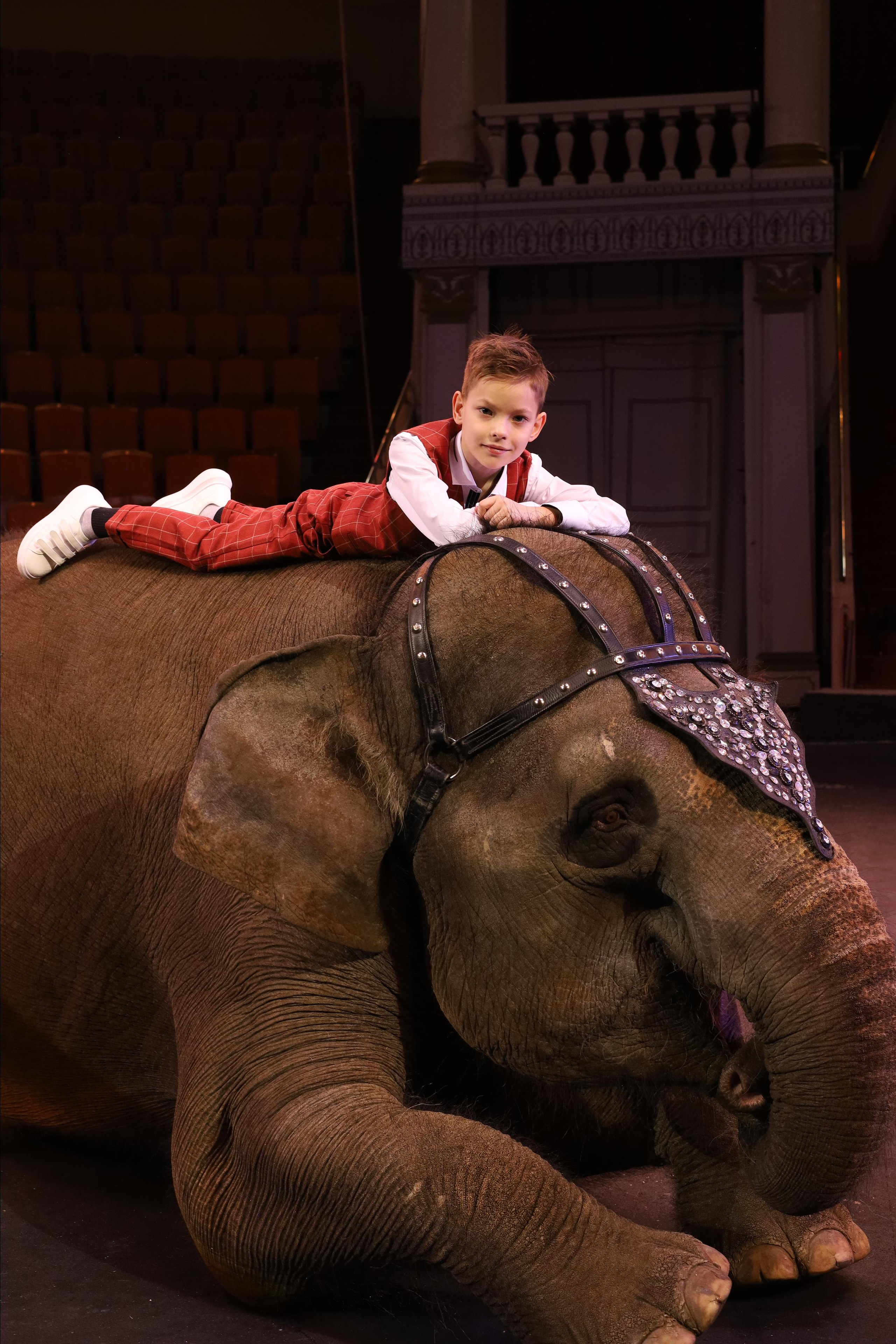 Со слонами. Детский сказочный фотограф Ярославль