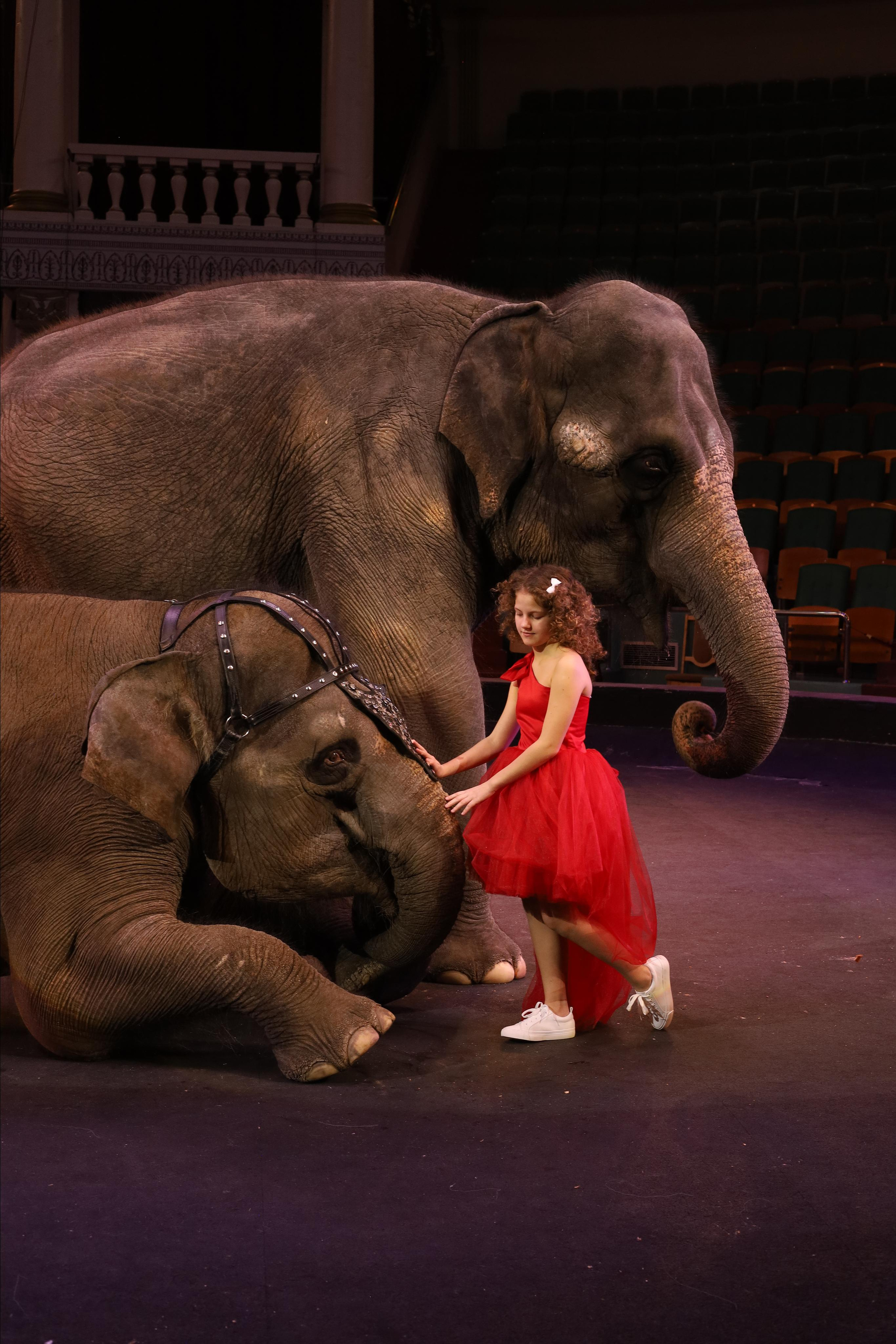 Со слонами. Детский сказочный фотограф Ярославль