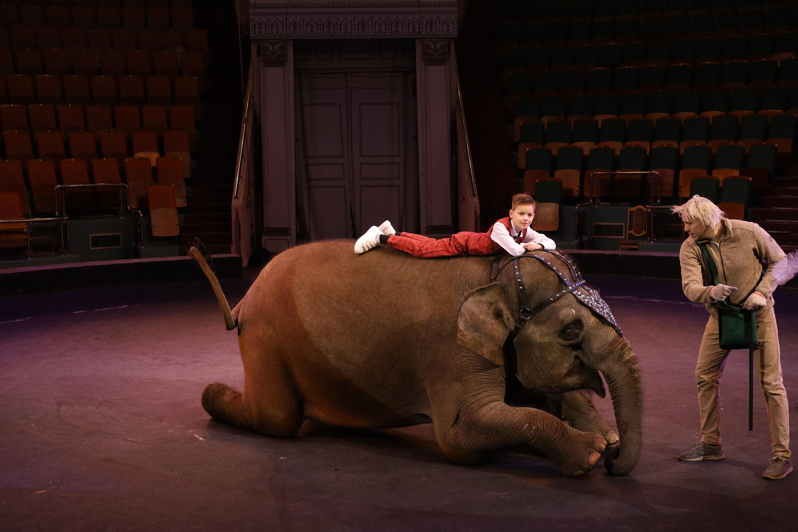 Со слонами. Детский сказочный фотограф Ярославль