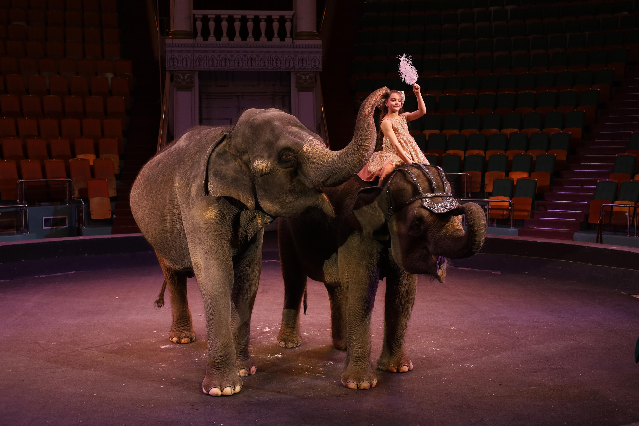 И снова слоны!. Детский сказочный фотограф Ярославль