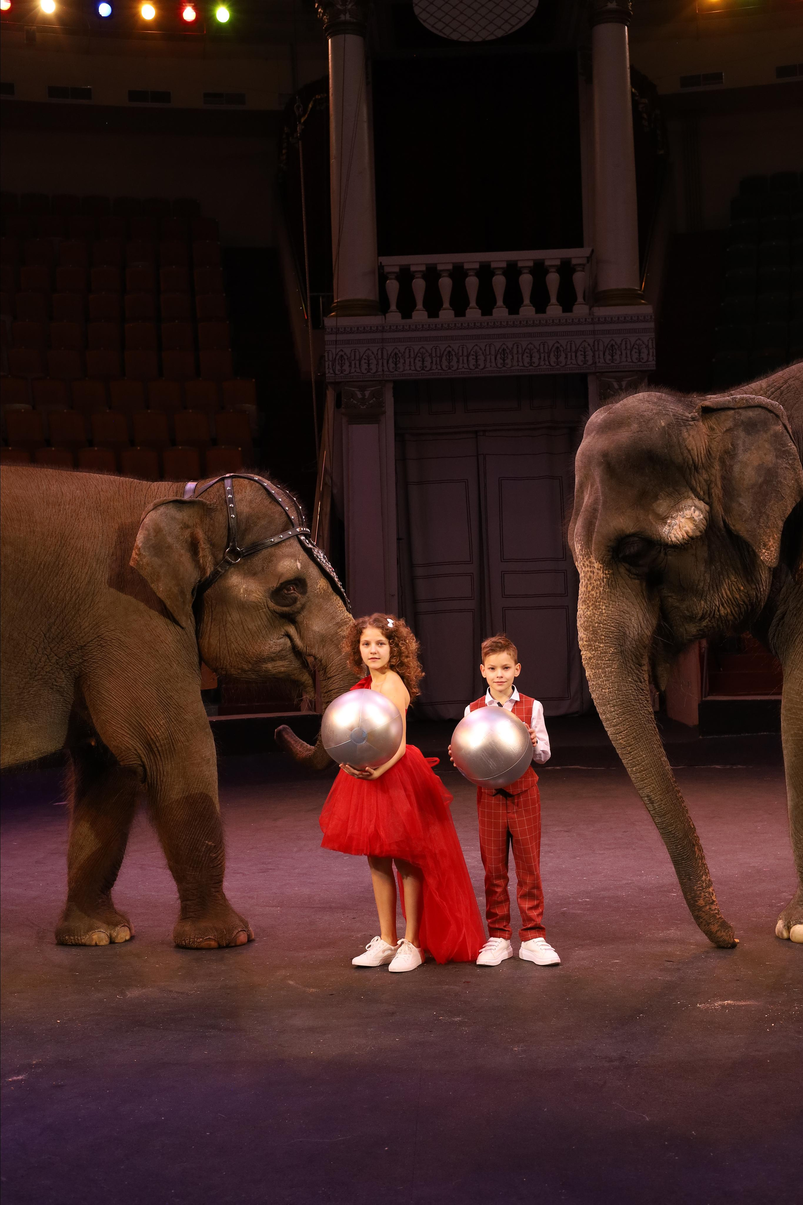 Со слонами. Детский сказочный фотограф Ярославль