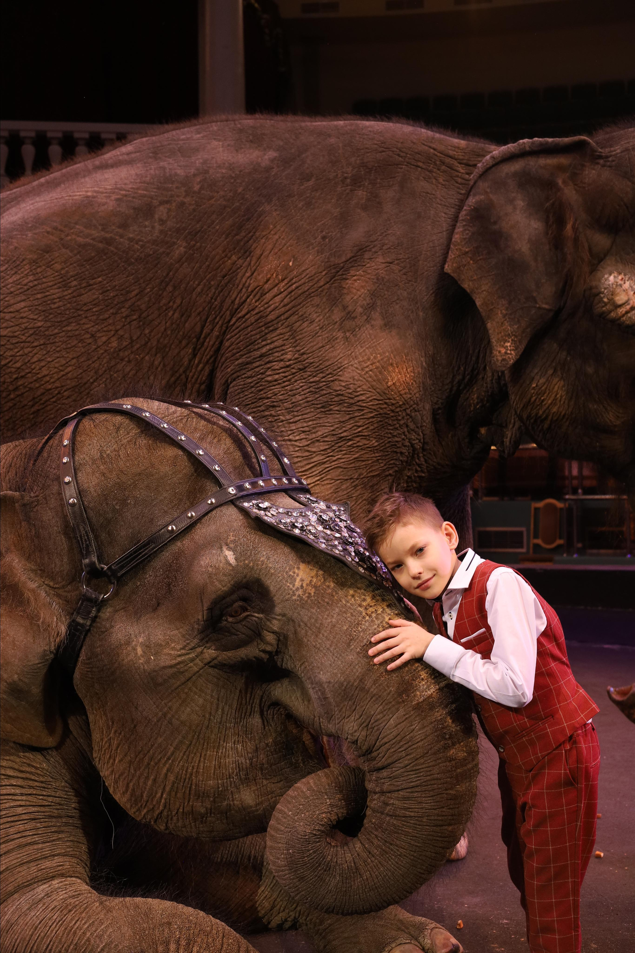Со слонами. Детский сказочный фотограф Ярославль