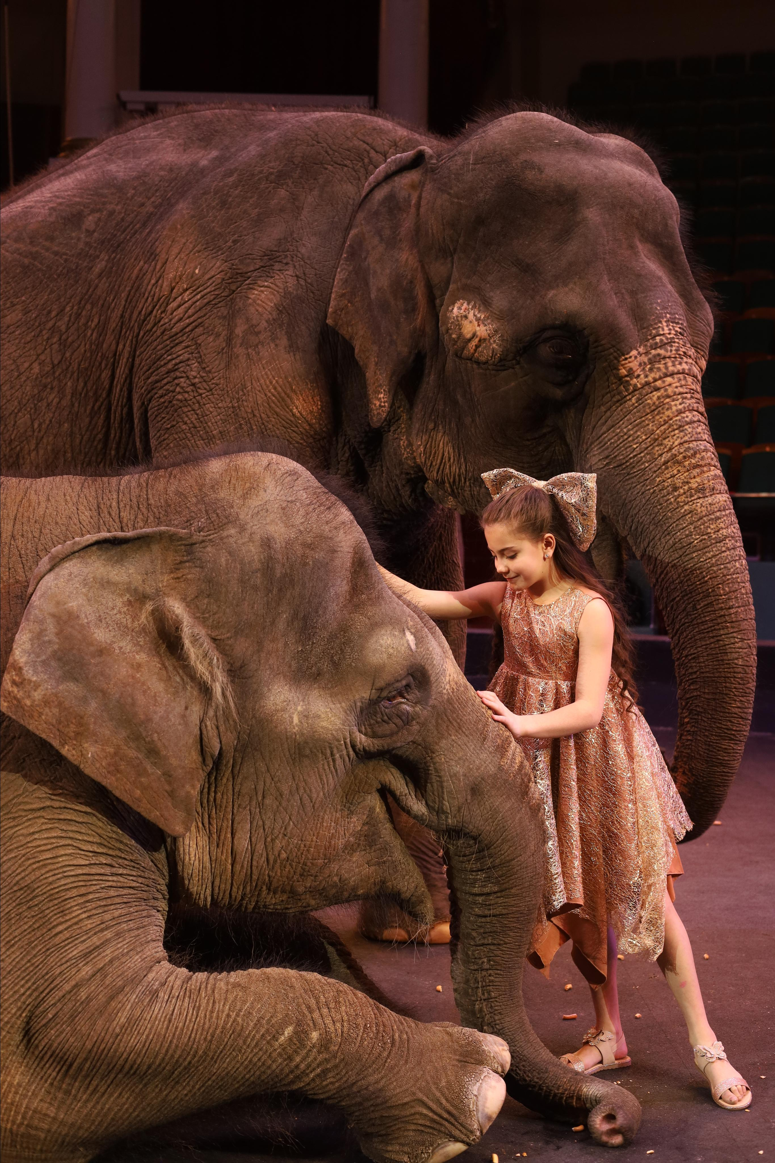 И снова слоны!. Детский сказочный фотограф Ярославль