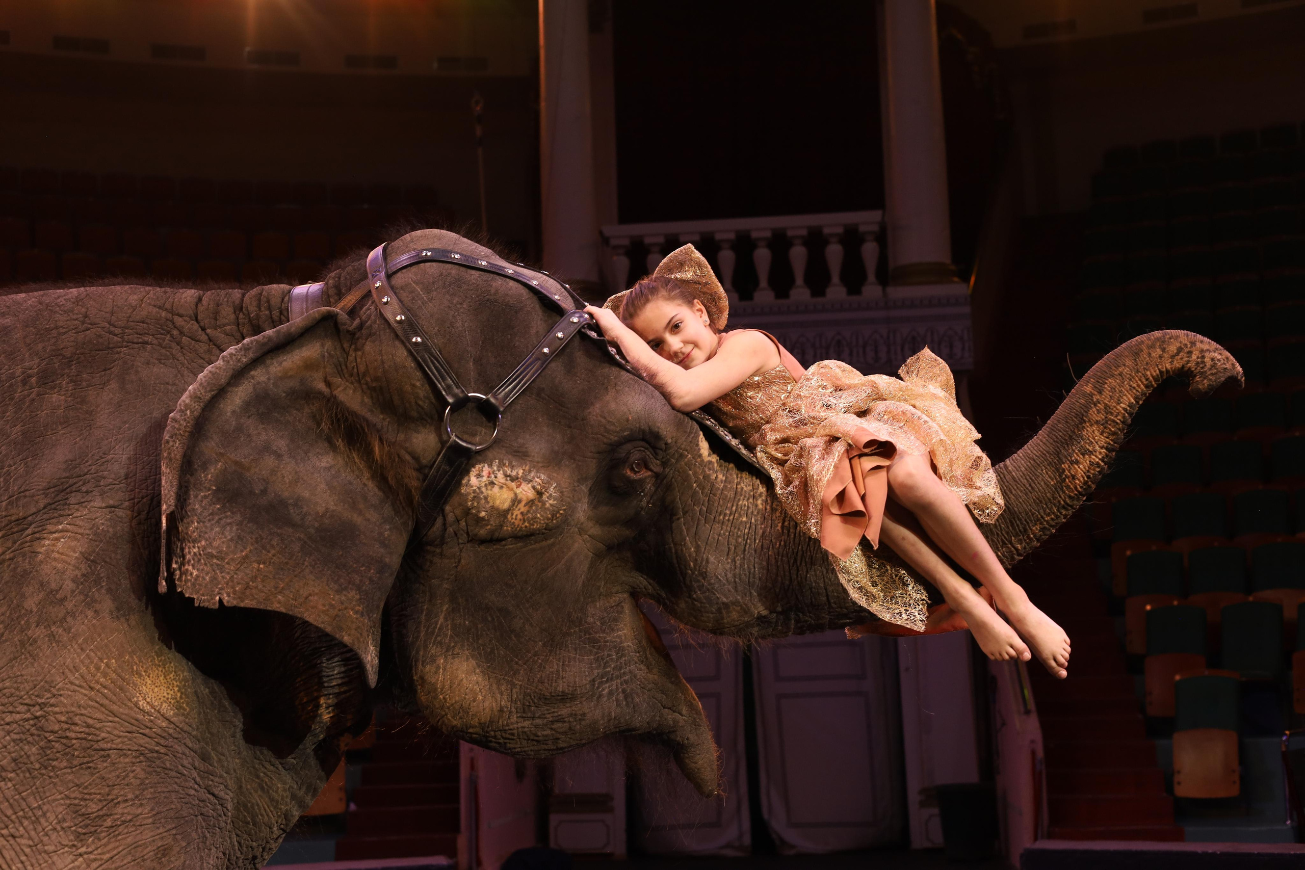 И снова слоны!. Детский сказочный фотограф Ярославль