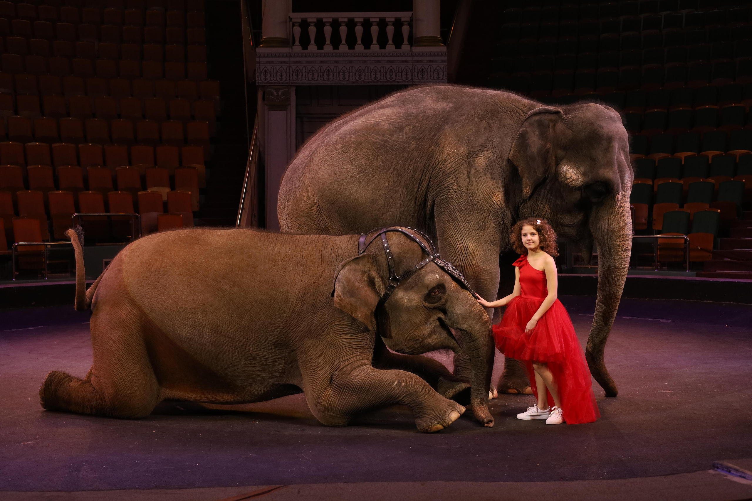 Со слонами. Детский сказочный фотограф Ярославль