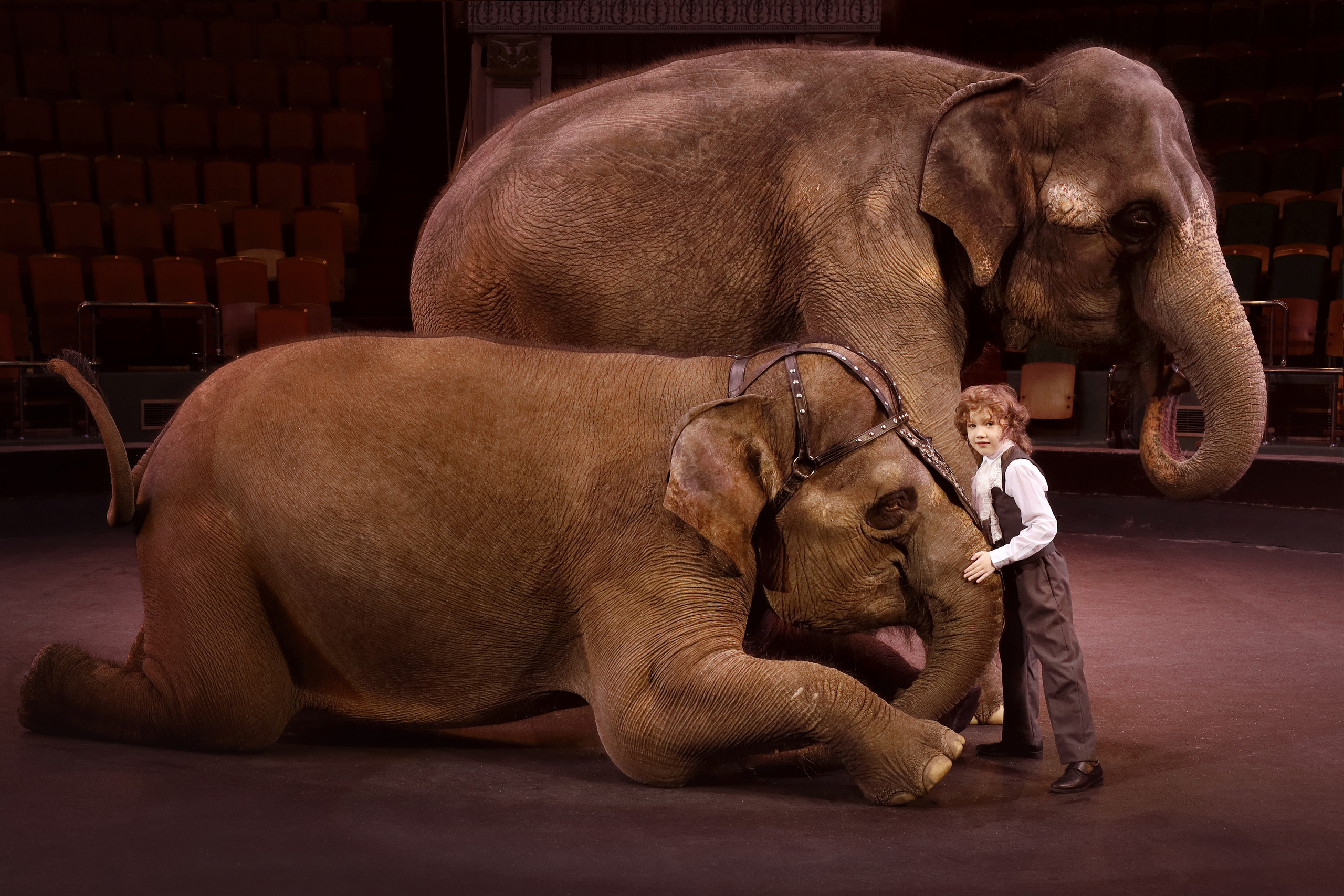 Съемки с животными. Детский сказочный фотограф Ярославль