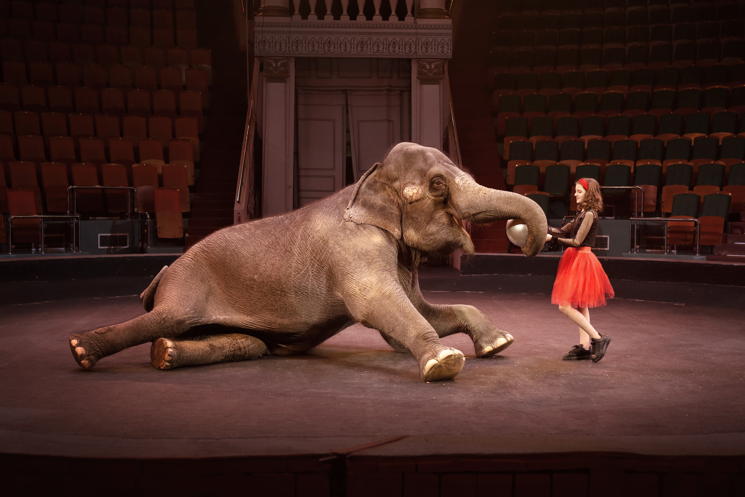 Съемки с животными. Детский сказочный фотограф Ярославль