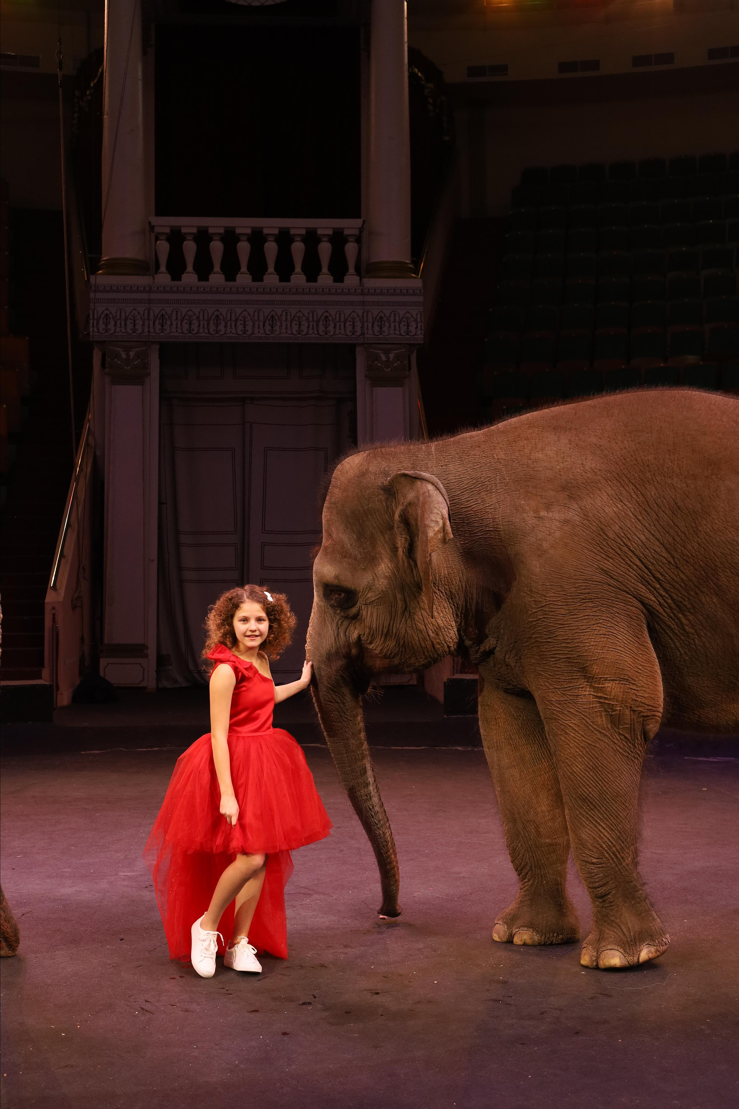 Со слонами. Детский сказочный фотограф Ярославль