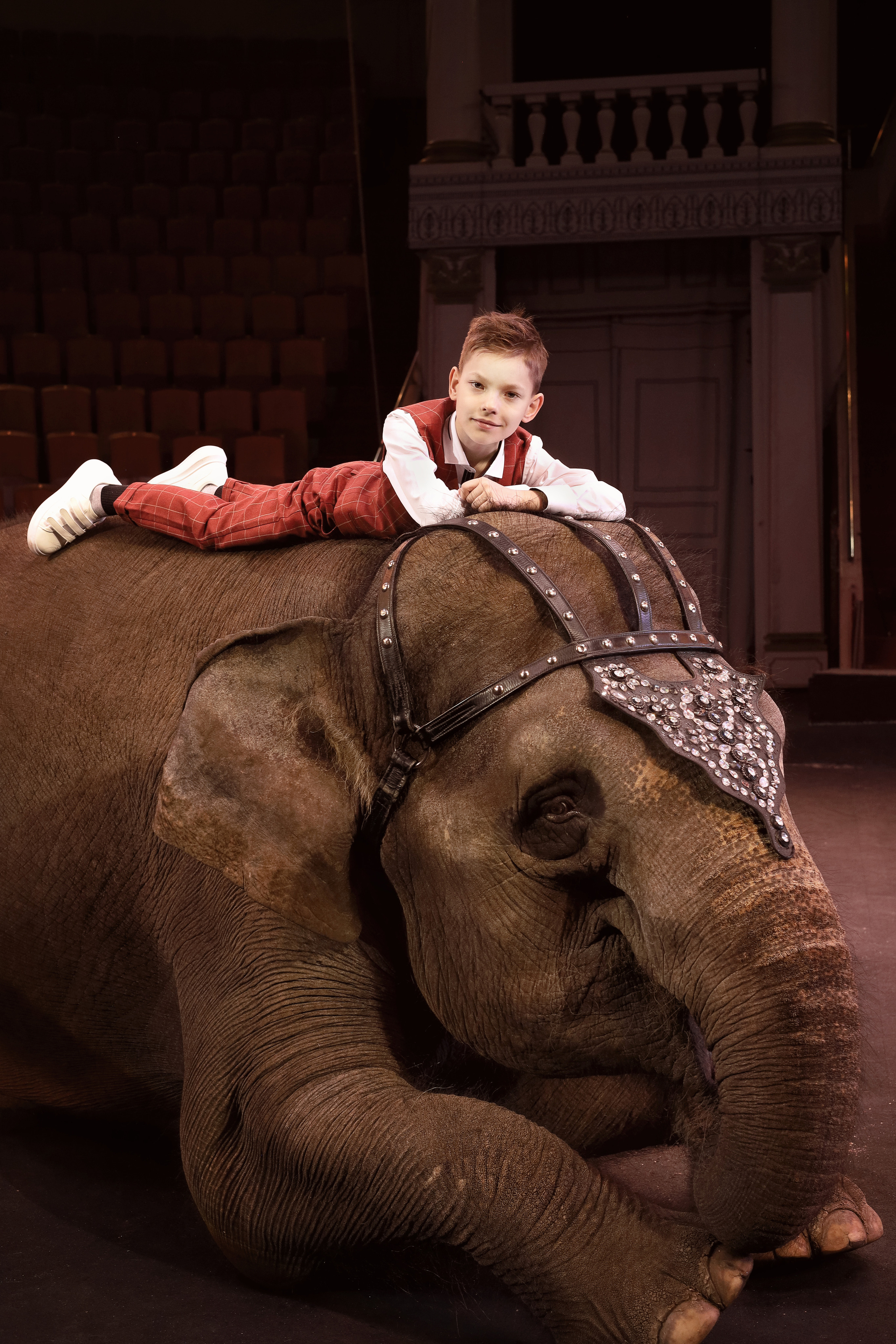 Съемки с животными. Детский сказочный фотограф Ярославль