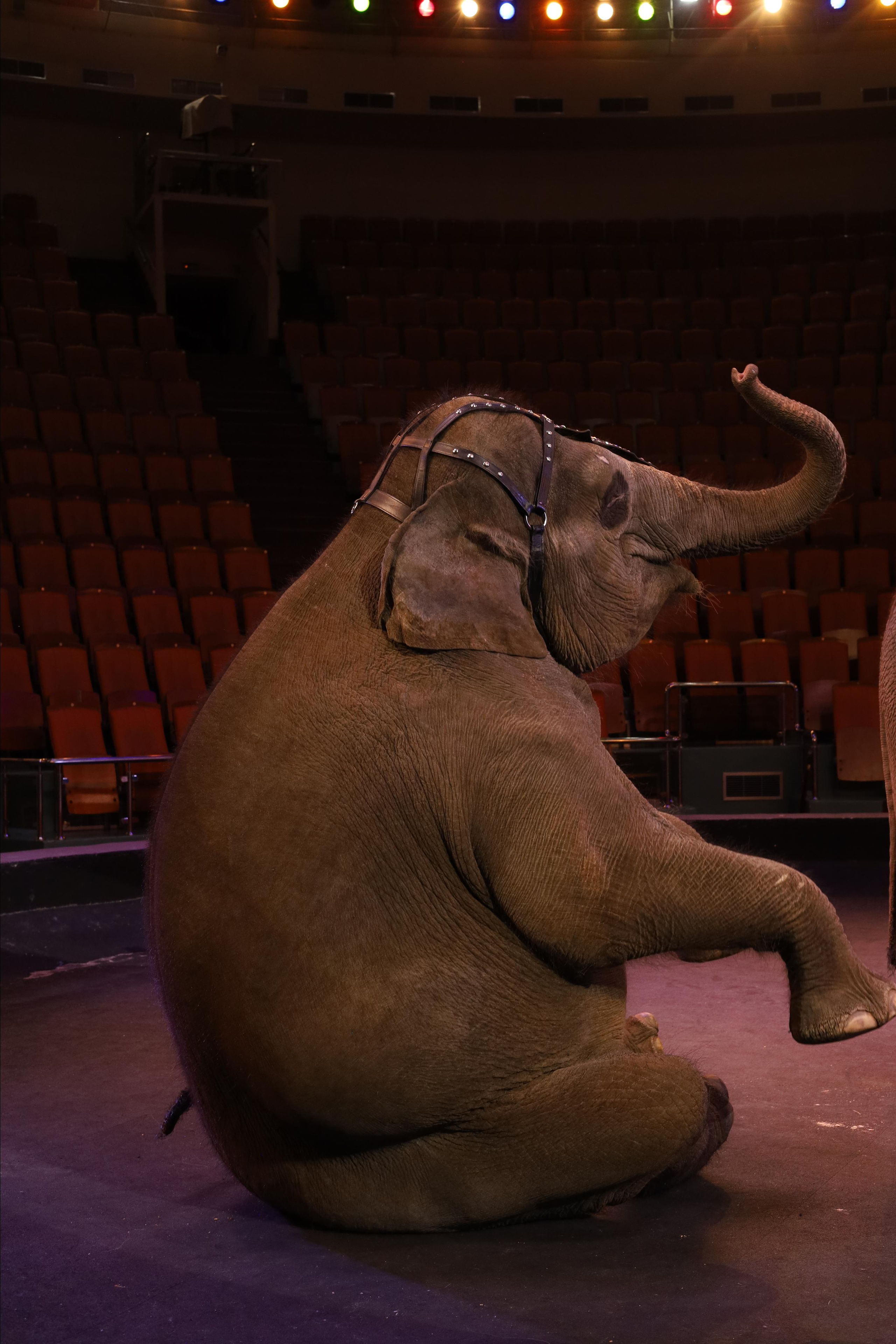 Истории. Детский сказочный фотограф Ярославль