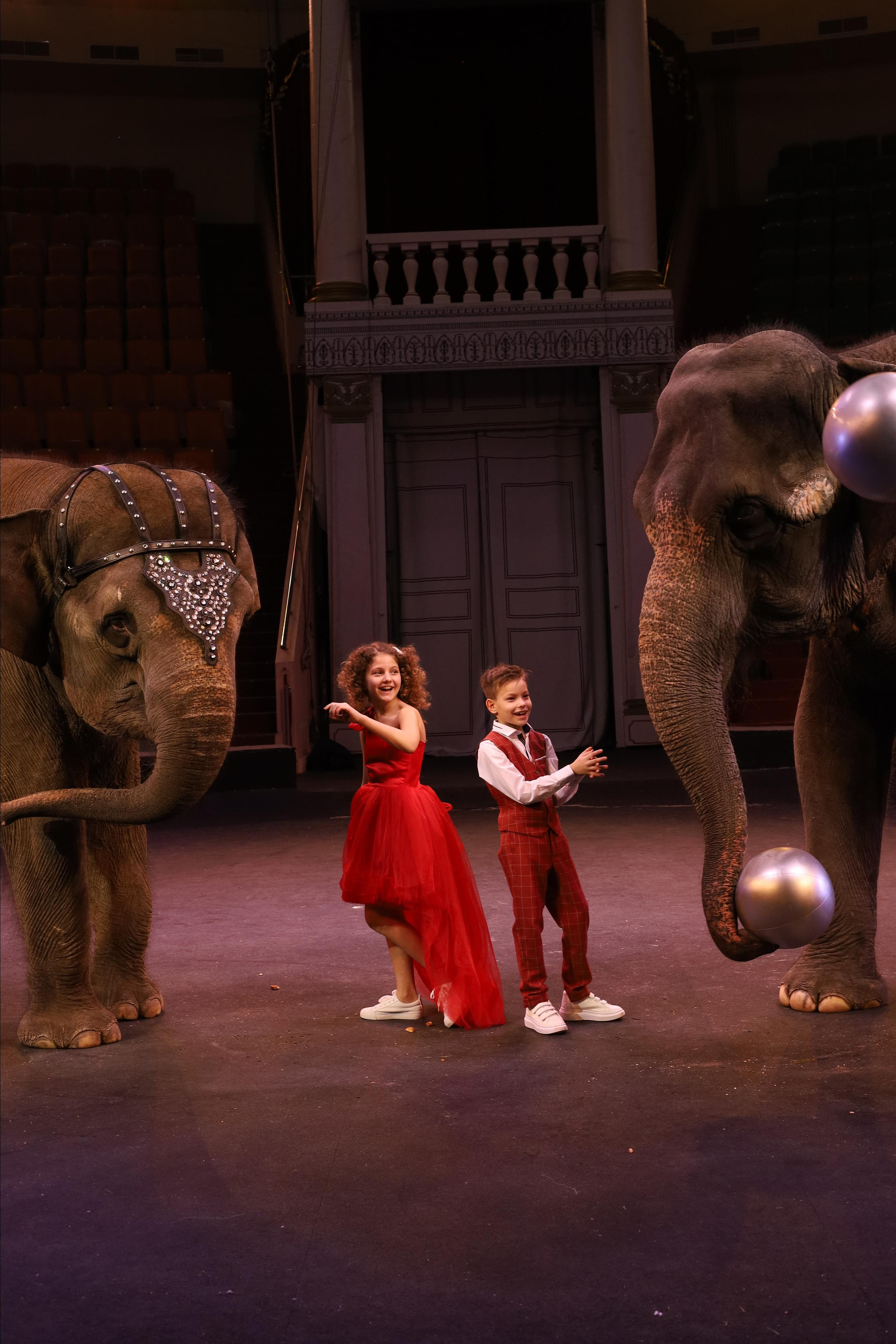 Со слонами. Детский сказочный фотограф Ярославль