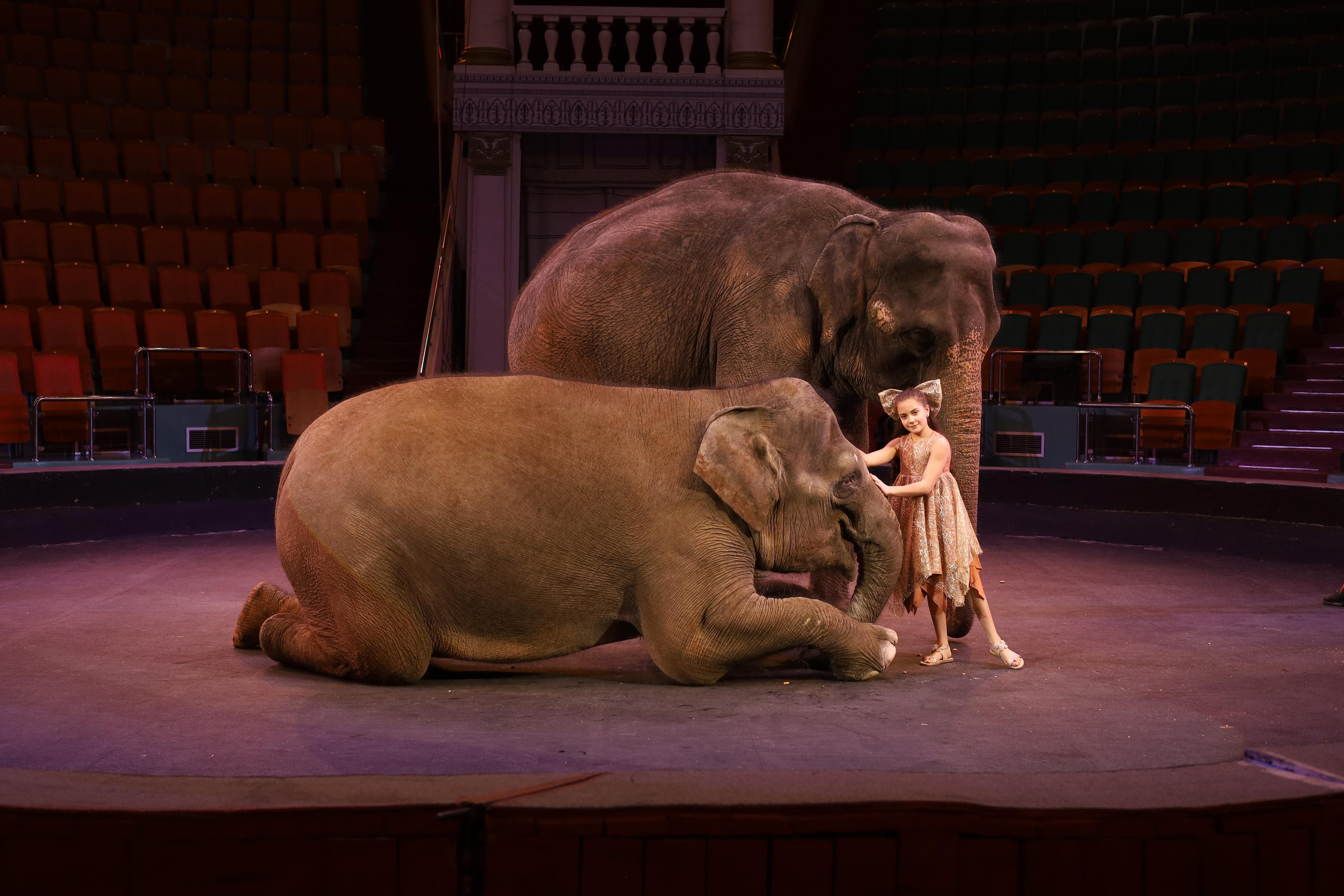 И снова слоны!. Детский сказочный фотограф Ярославль