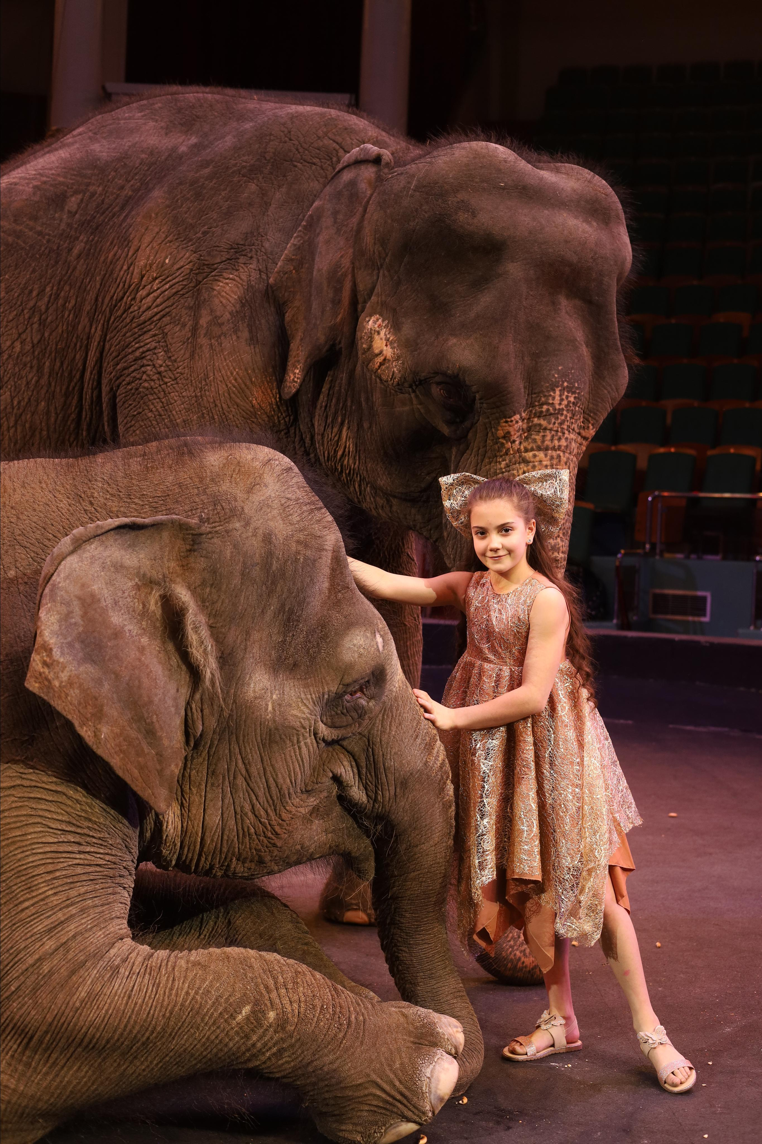 И снова слоны!. Детский сказочный фотограф Ярославль