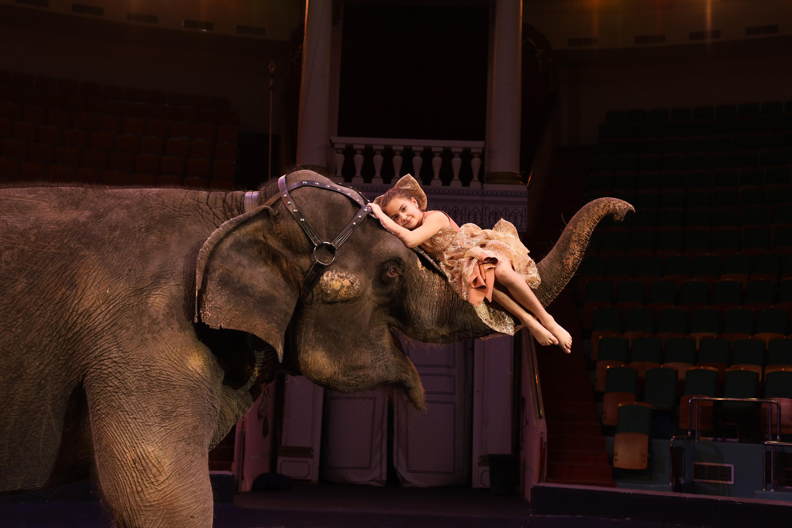 И снова слоны!. Детский сказочный фотограф Ярославль