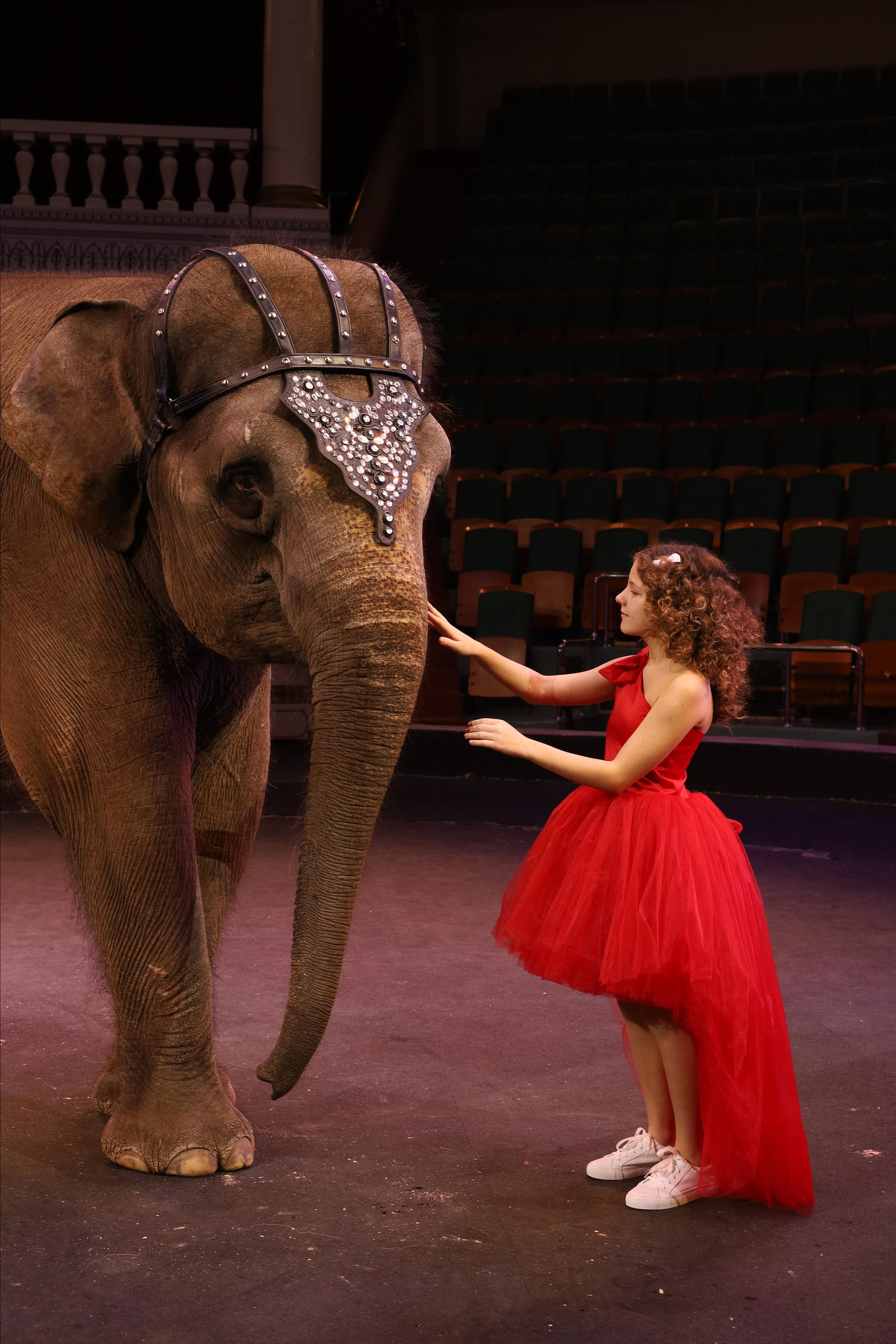 Со слонами. Детский сказочный фотограф Ярославль