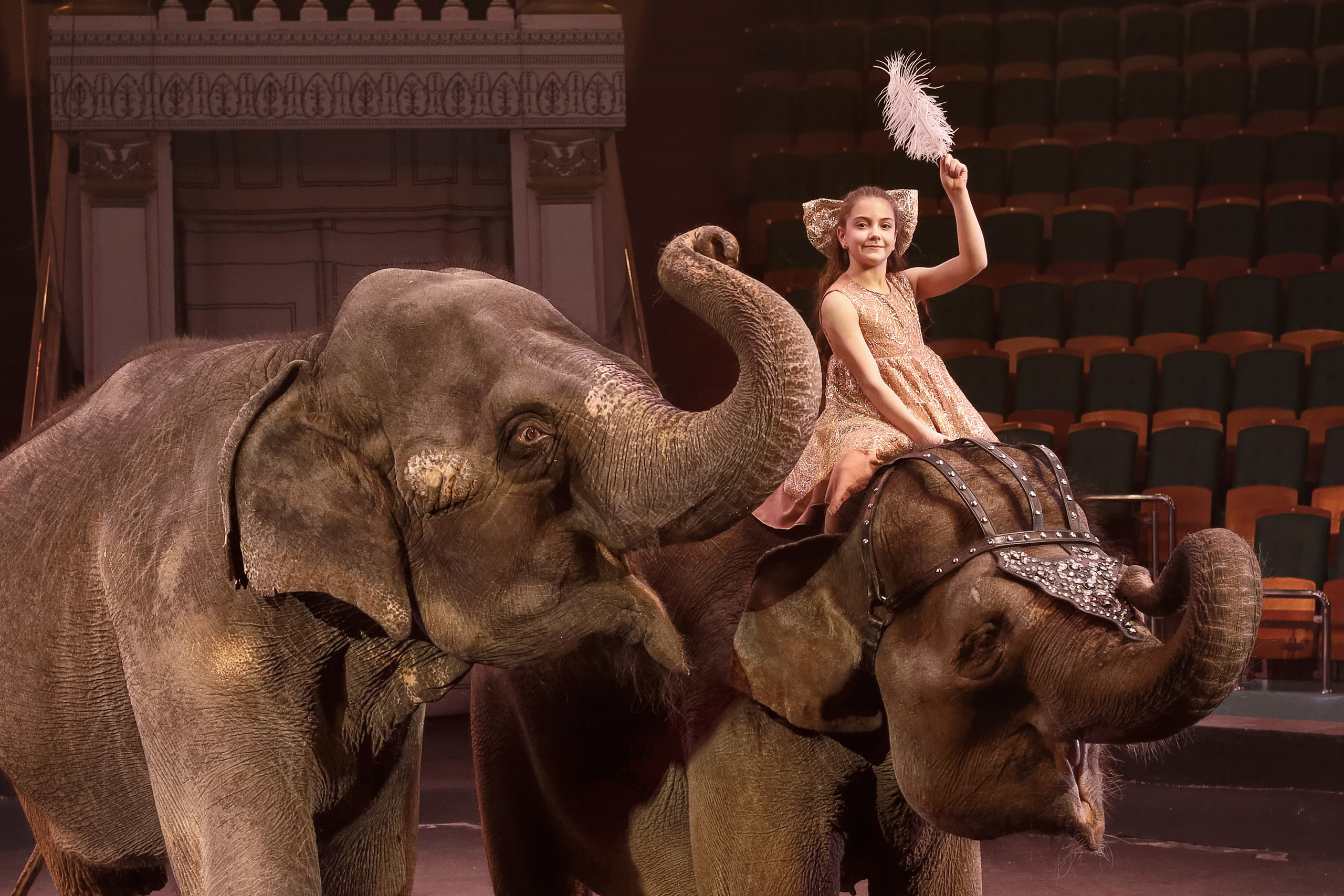 Съемки с животными. Детский сказочный фотограф Ярославль