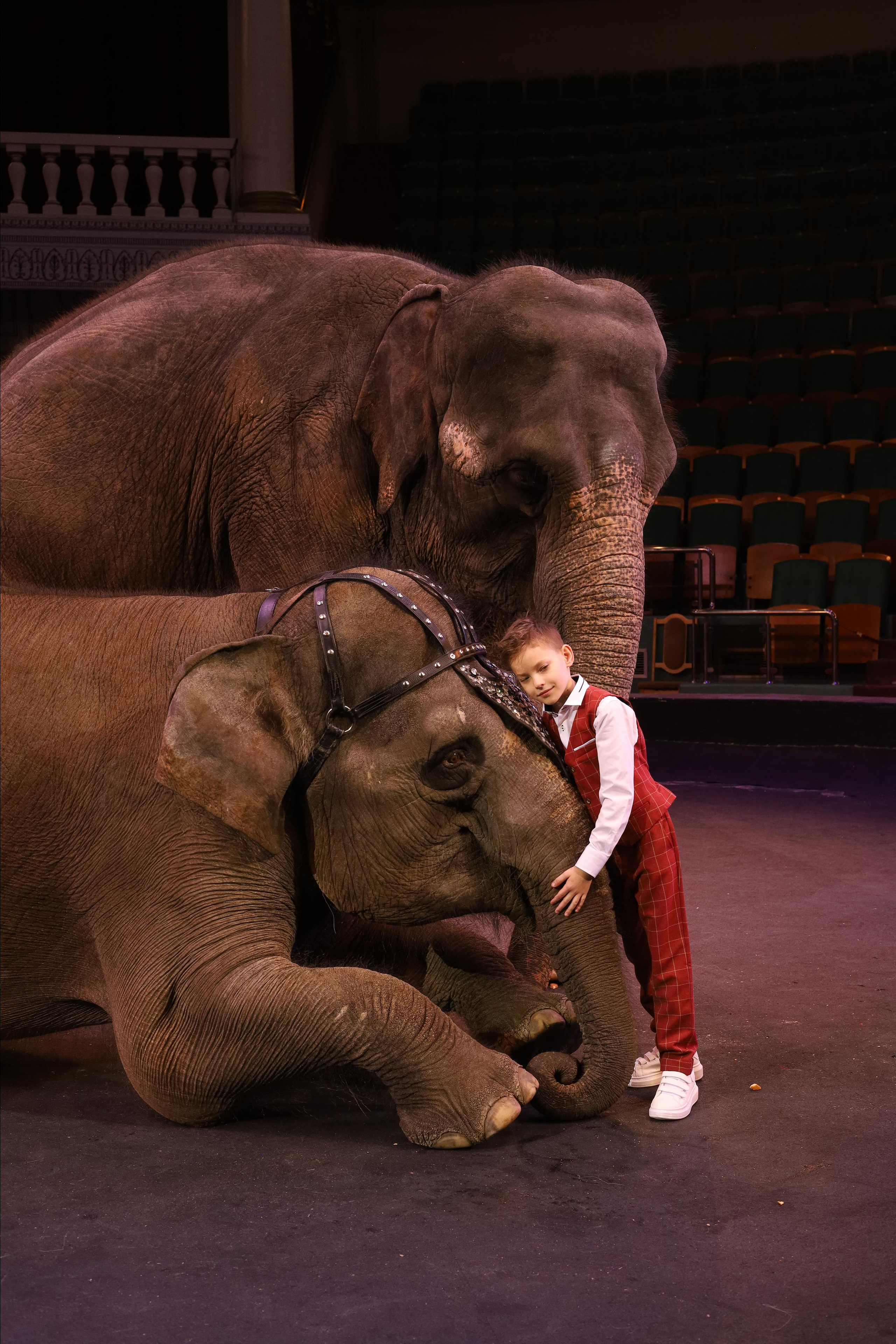 Со слонами. Детский сказочный фотограф Ярославль