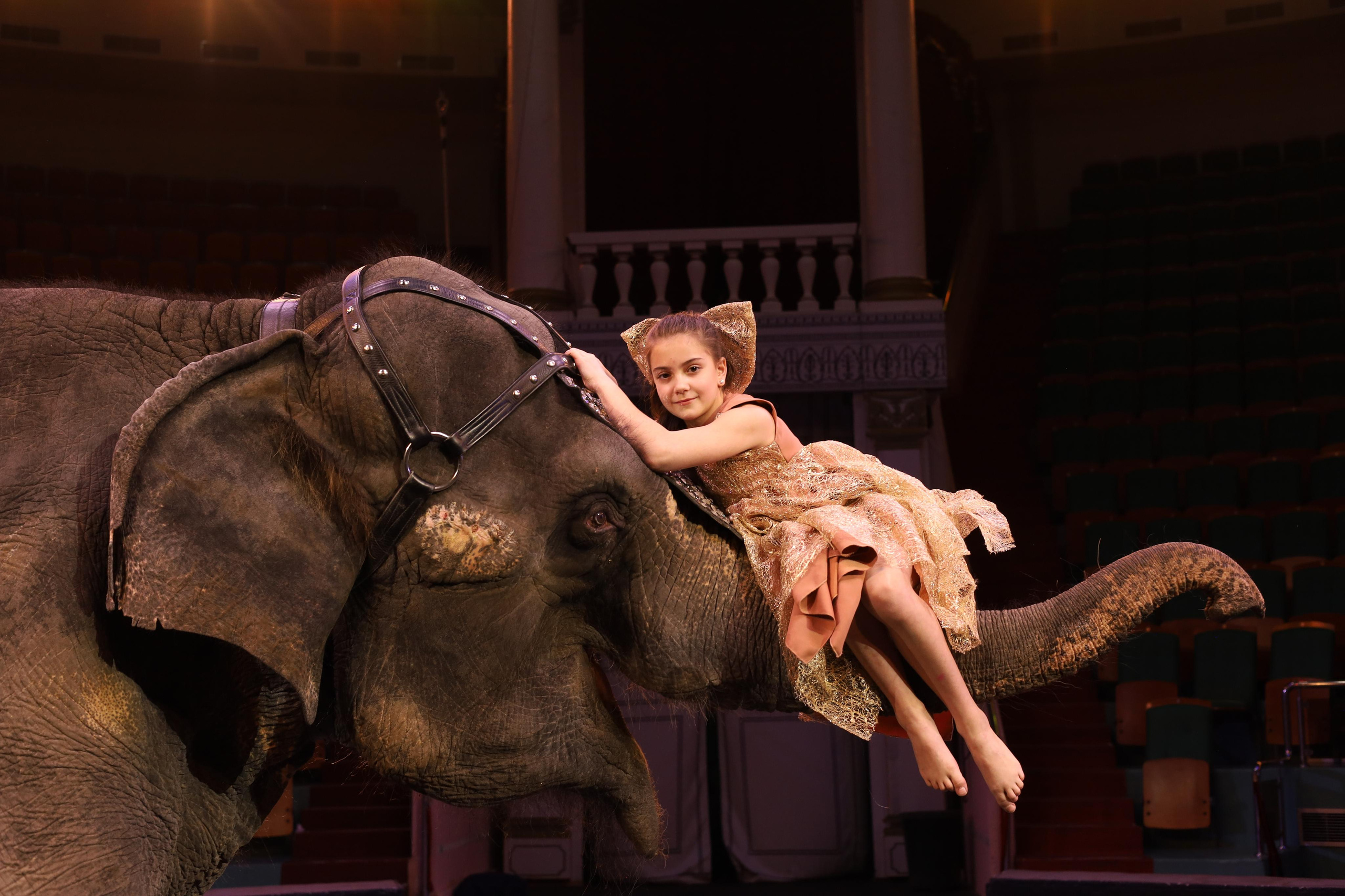 И снова слоны!. Детский сказочный фотограф Ярославль