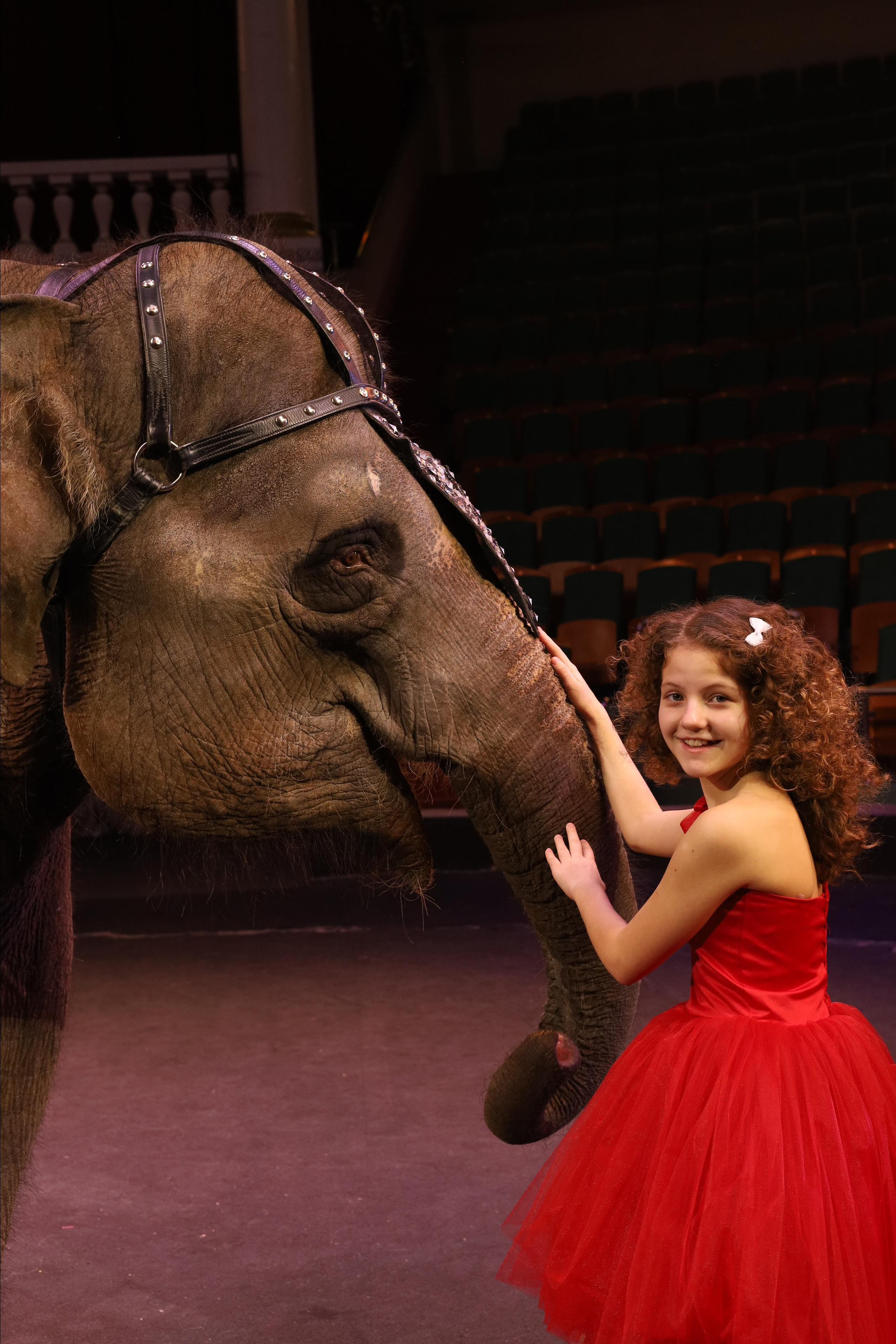 Со слонами. Детский сказочный фотограф Ярославль