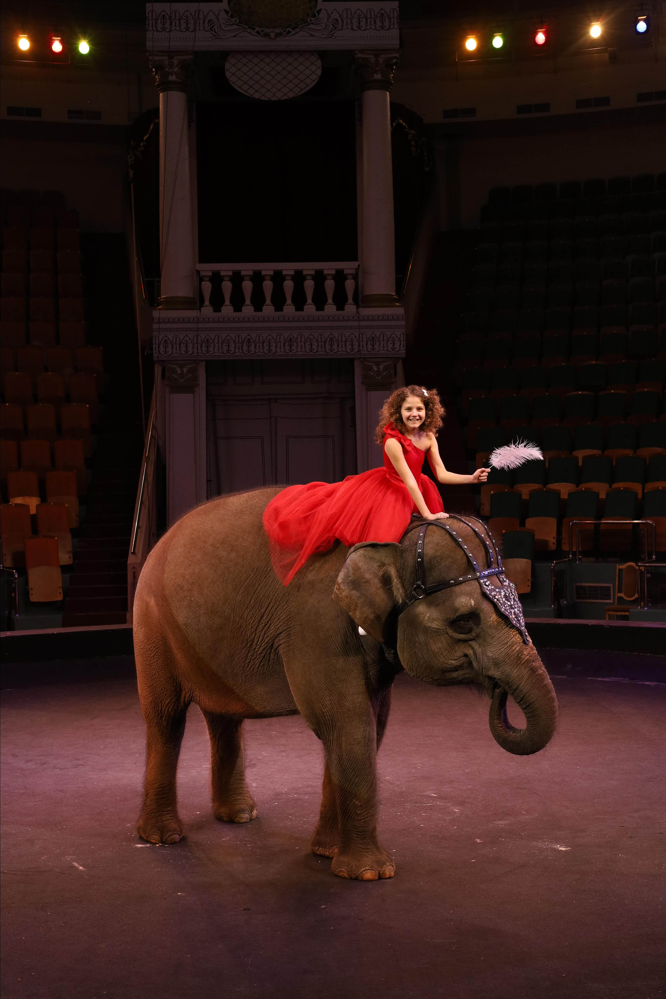 Со слонами. Детский сказочный фотограф Ярославль