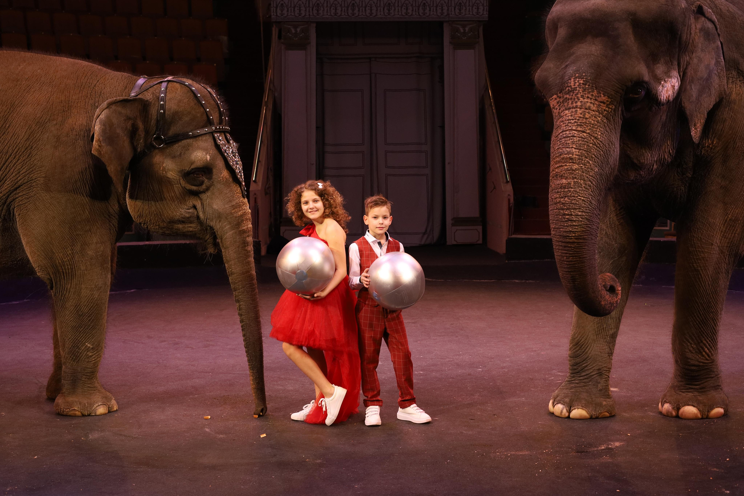 Со слонами. Детский сказочный фотограф Ярославль