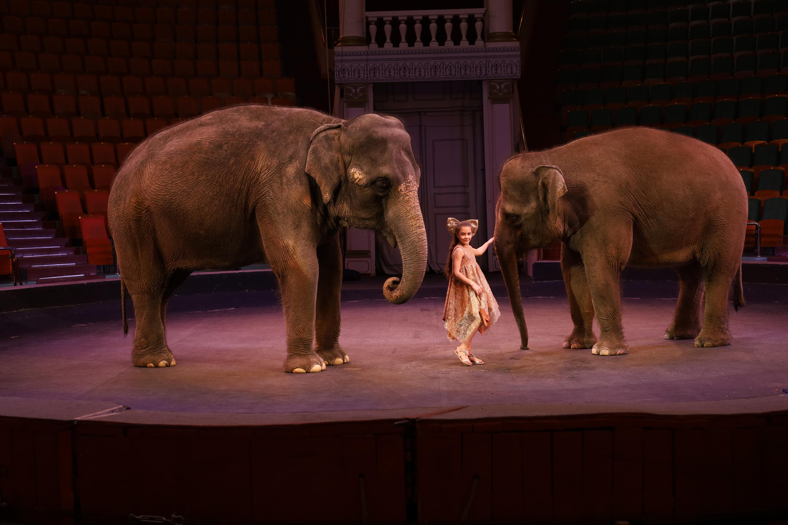 Истории. Детский сказочный фотограф Ярославль