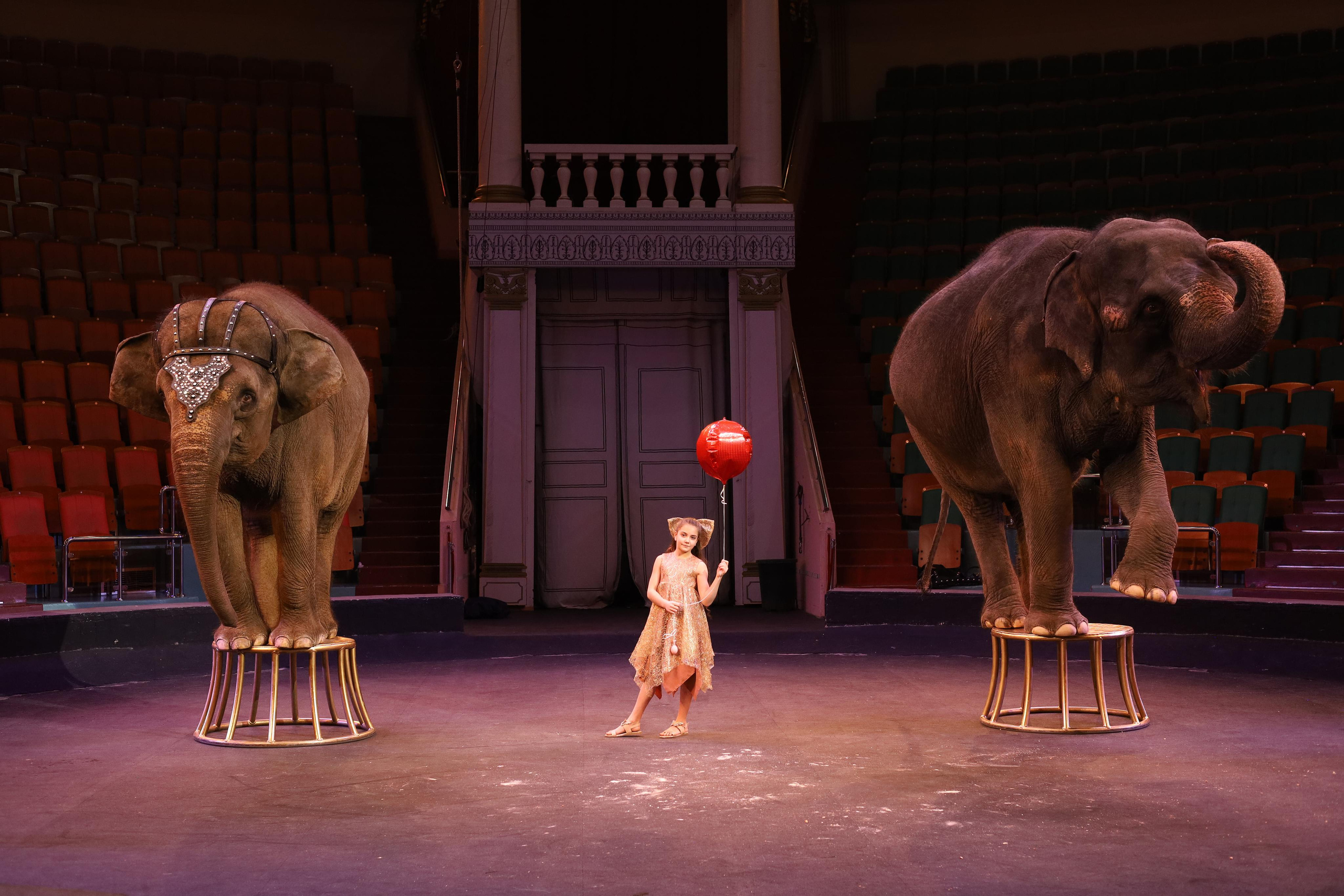 И снова слоны!. Детский сказочный фотограф Ярославль