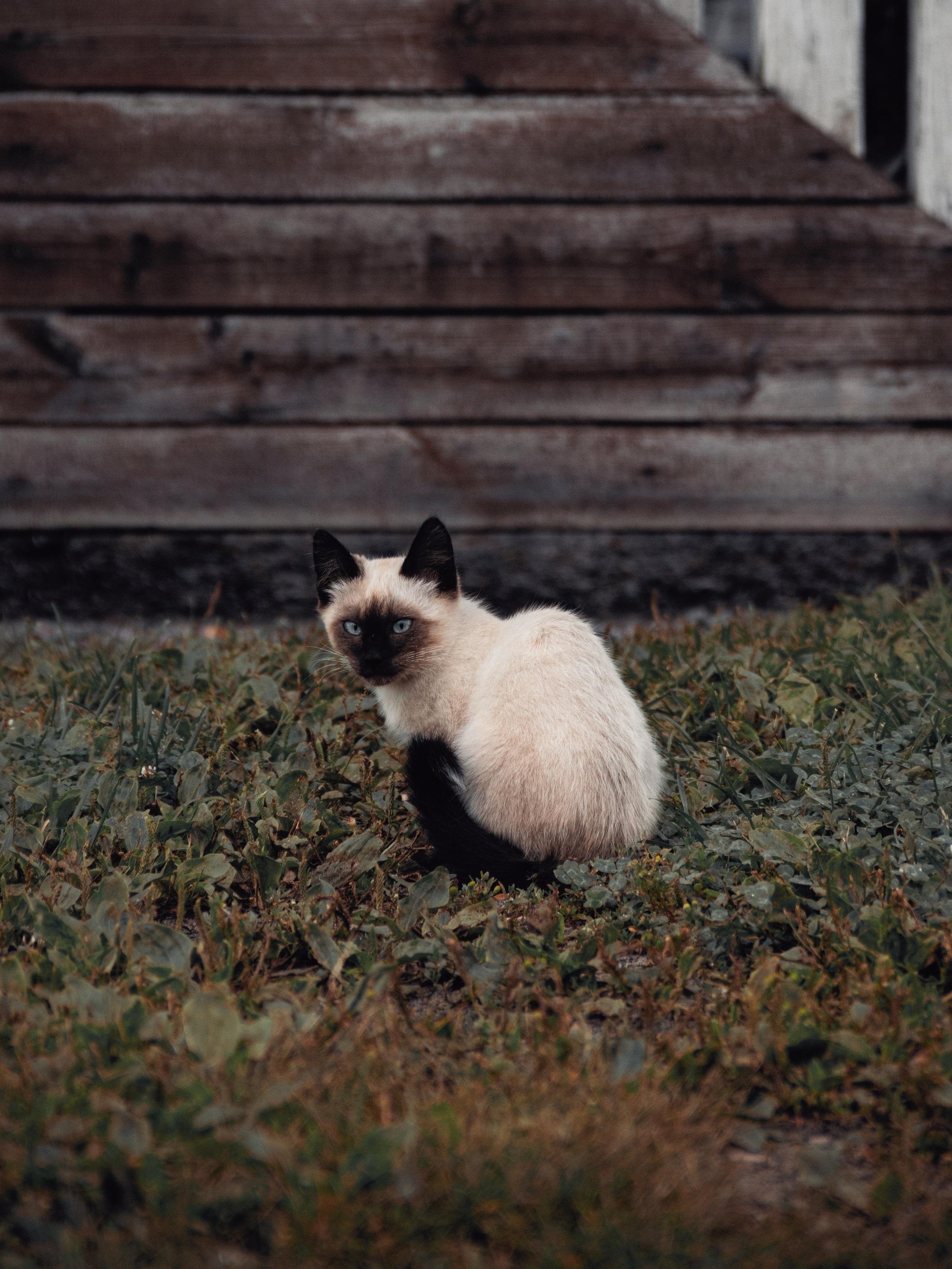 Уличные модели. С любовью, фотохудожник