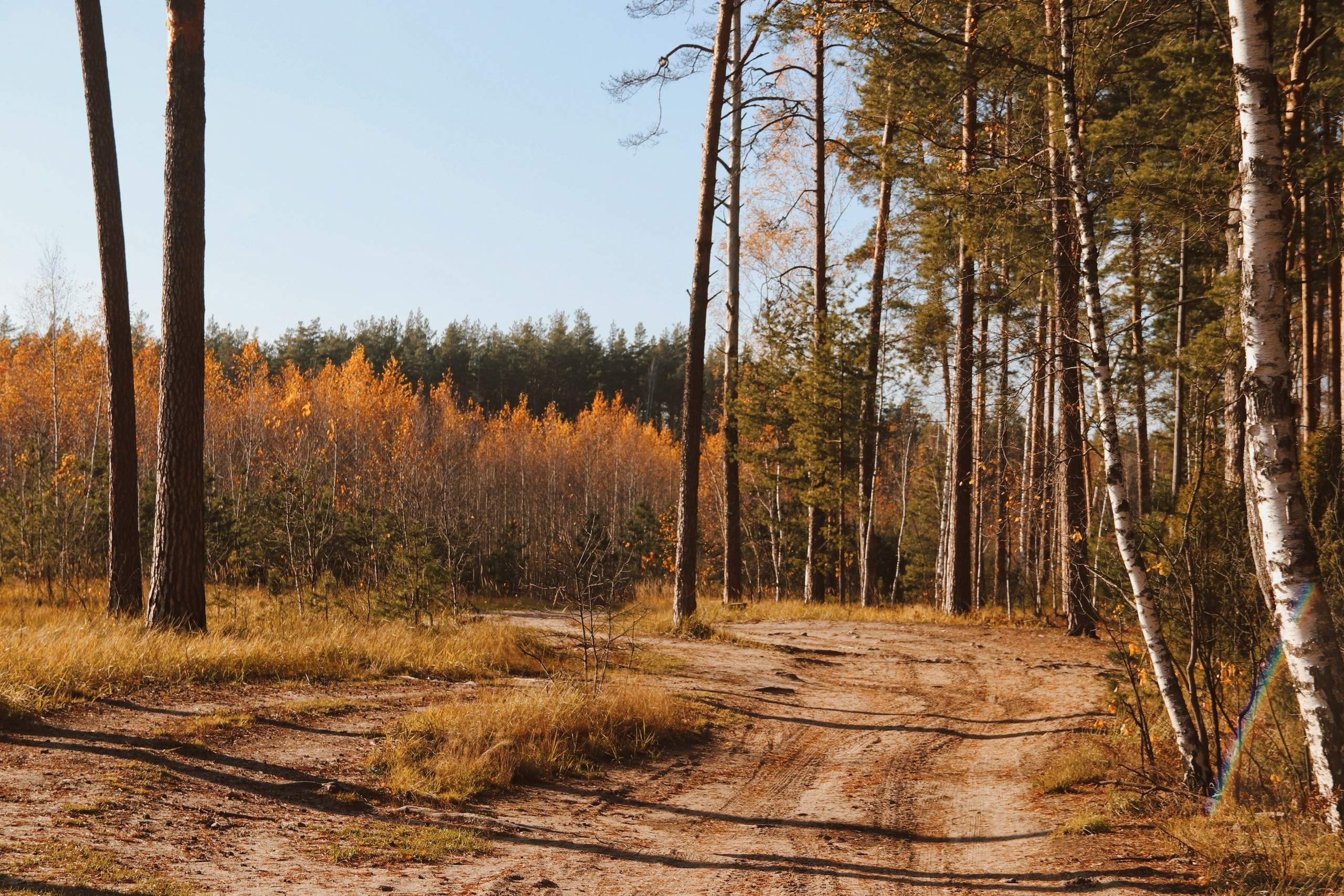 По тропе Паустовского. С любовью, фотохудожник