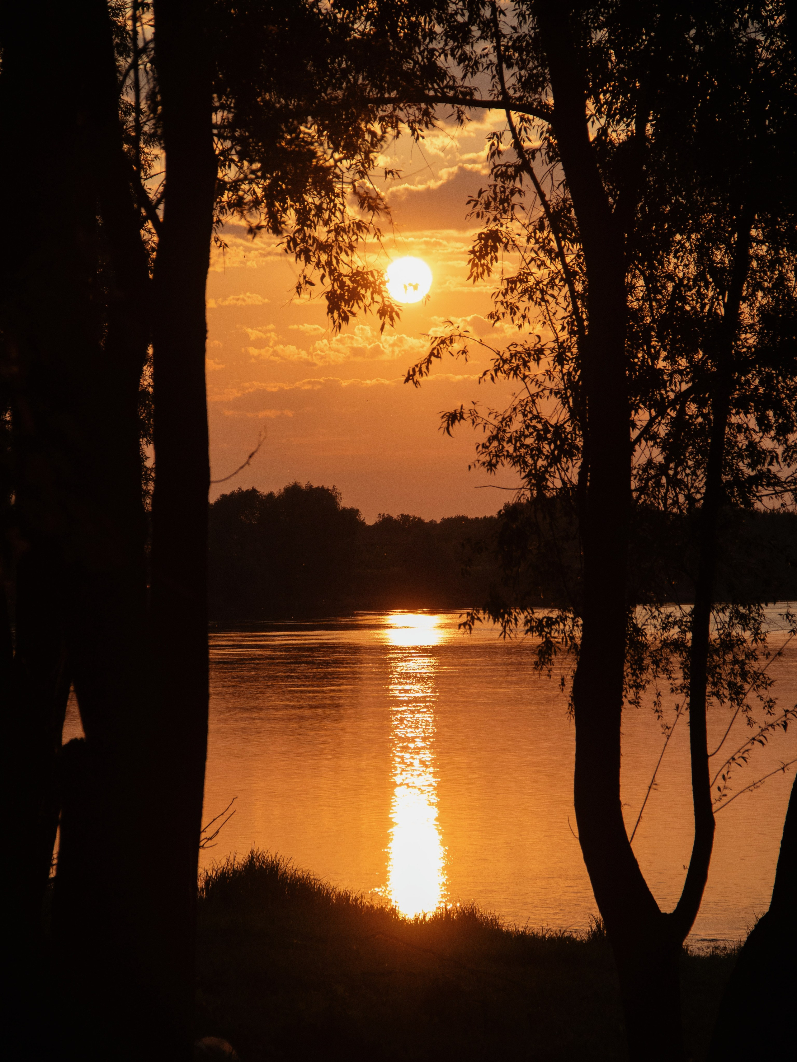 Жидкое золото. С любовью, фотохудожник