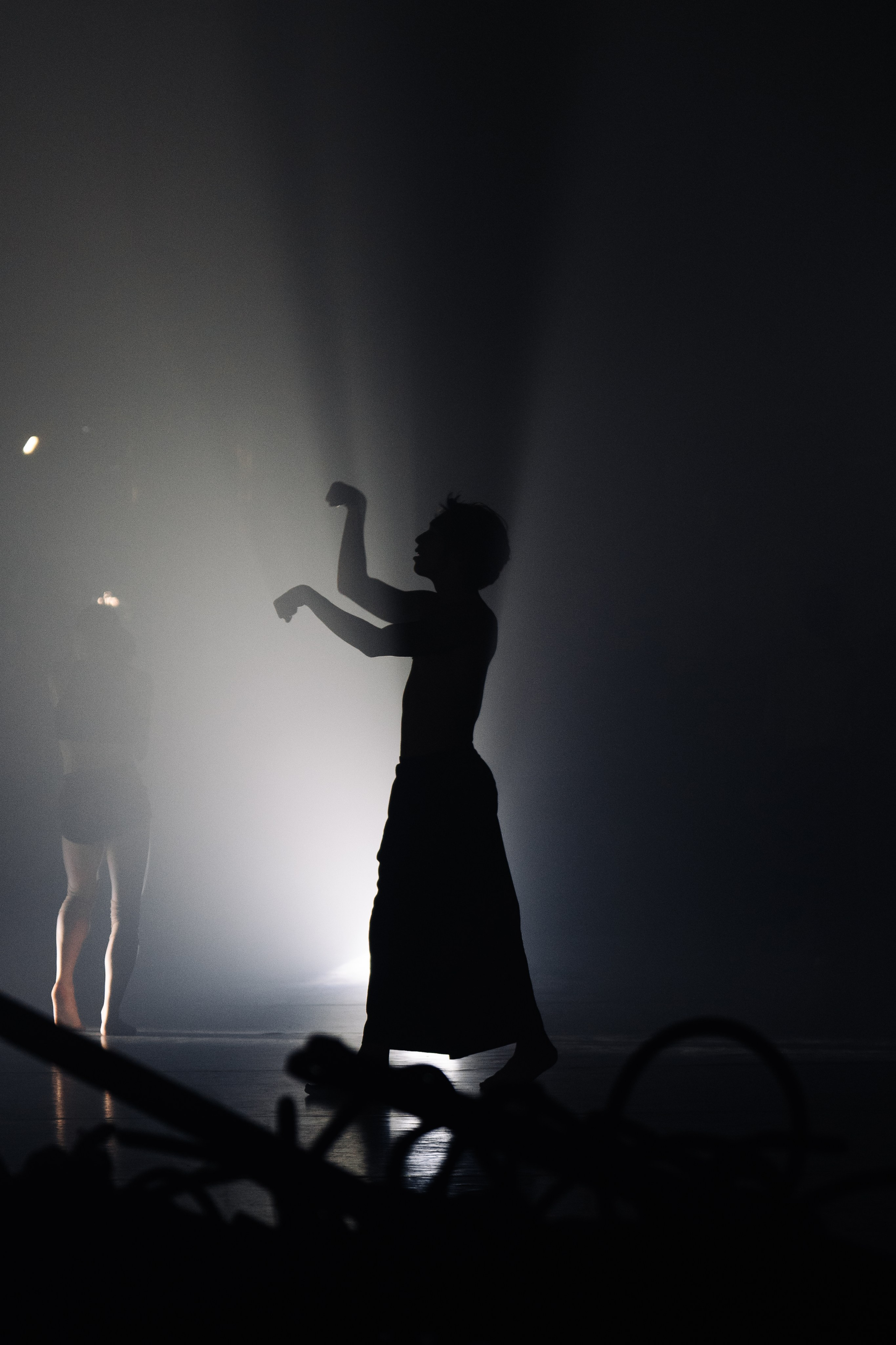 PERFORMA, The Hour of the Horse. @tomrus: Рустам Шагиморданов — фотограф