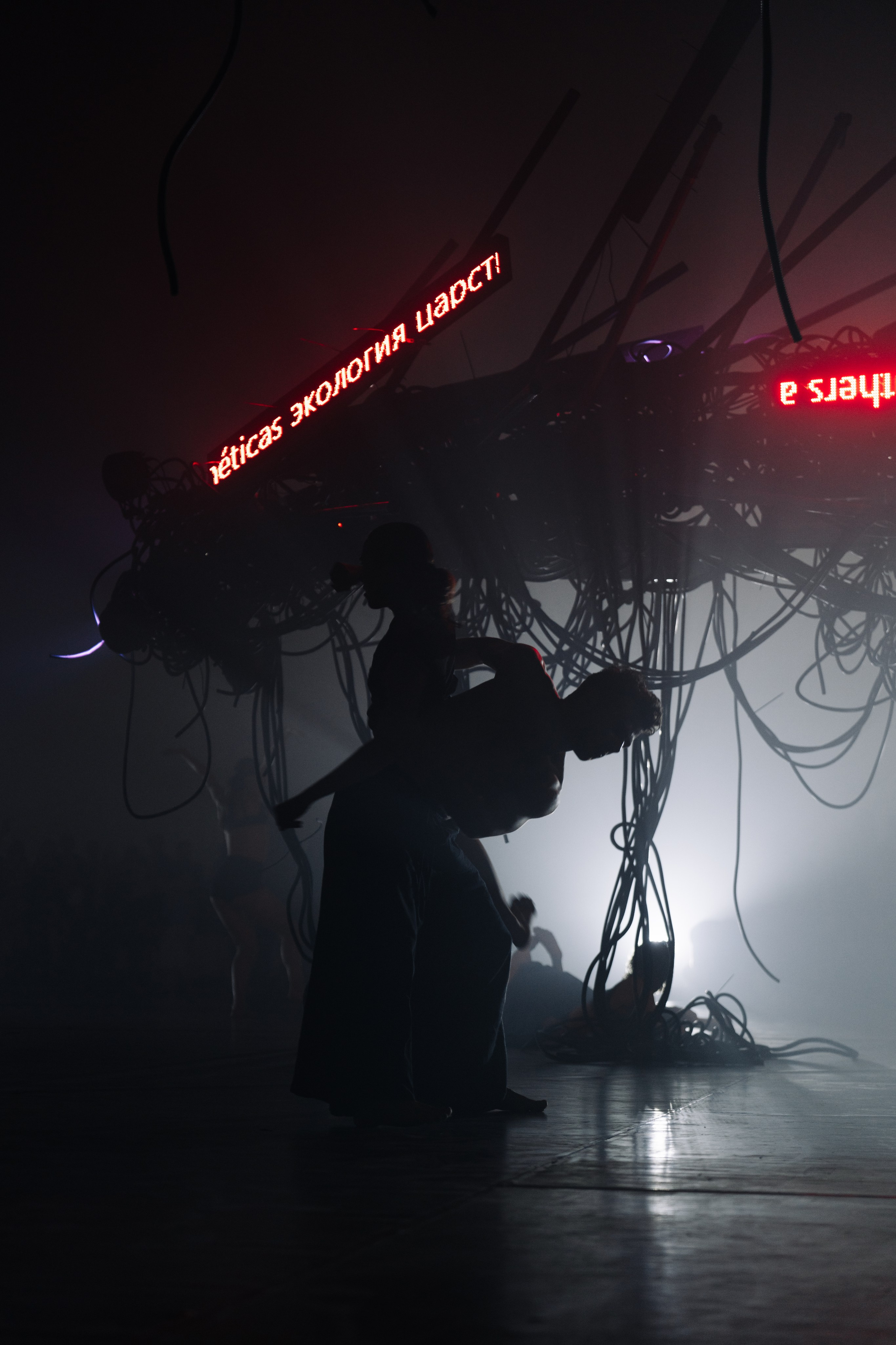 PERFORMA, The Hour of the Horse. @tomrus: Рустам Шагиморданов — фотограф