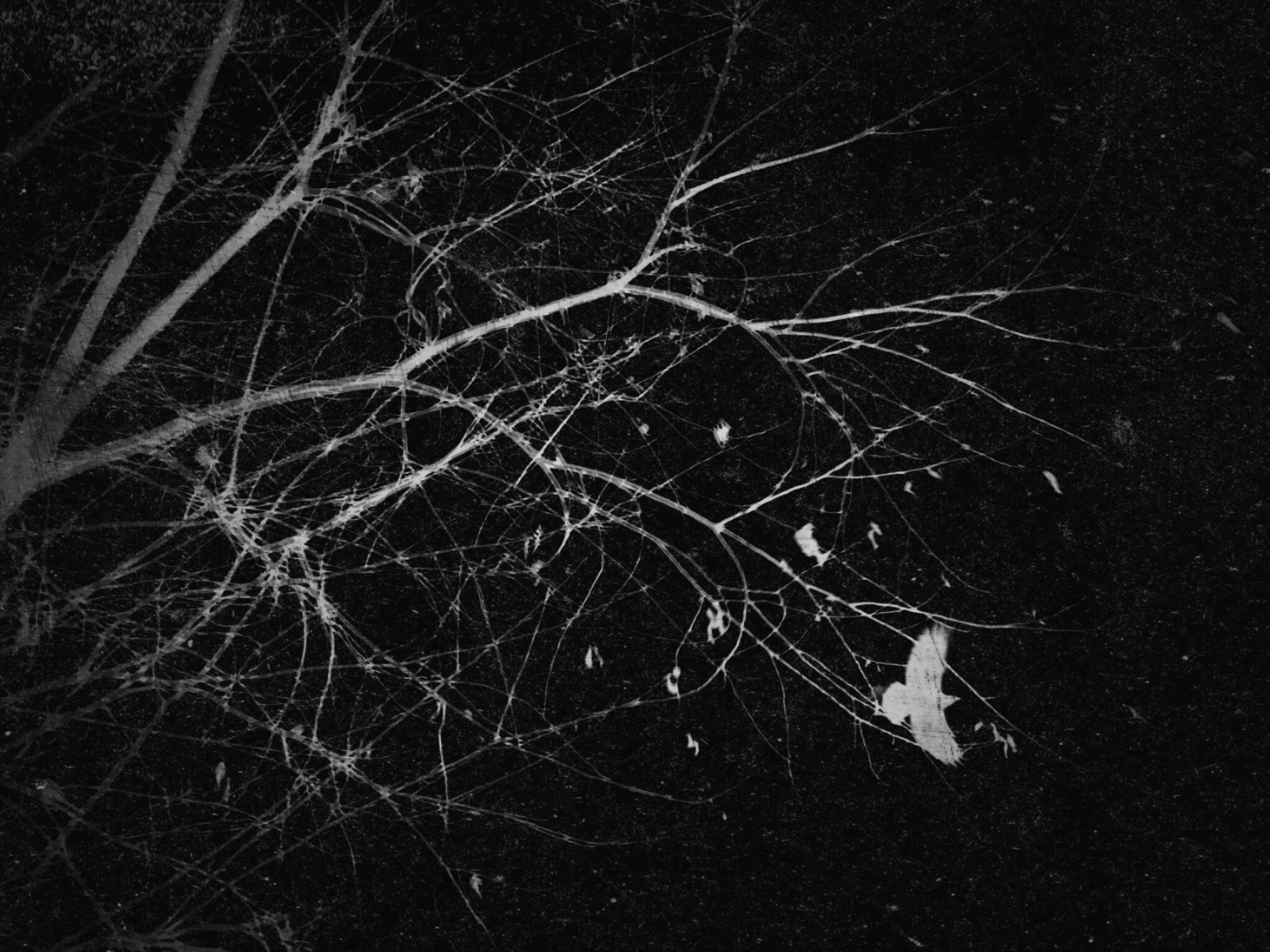 Anxiety. Главная