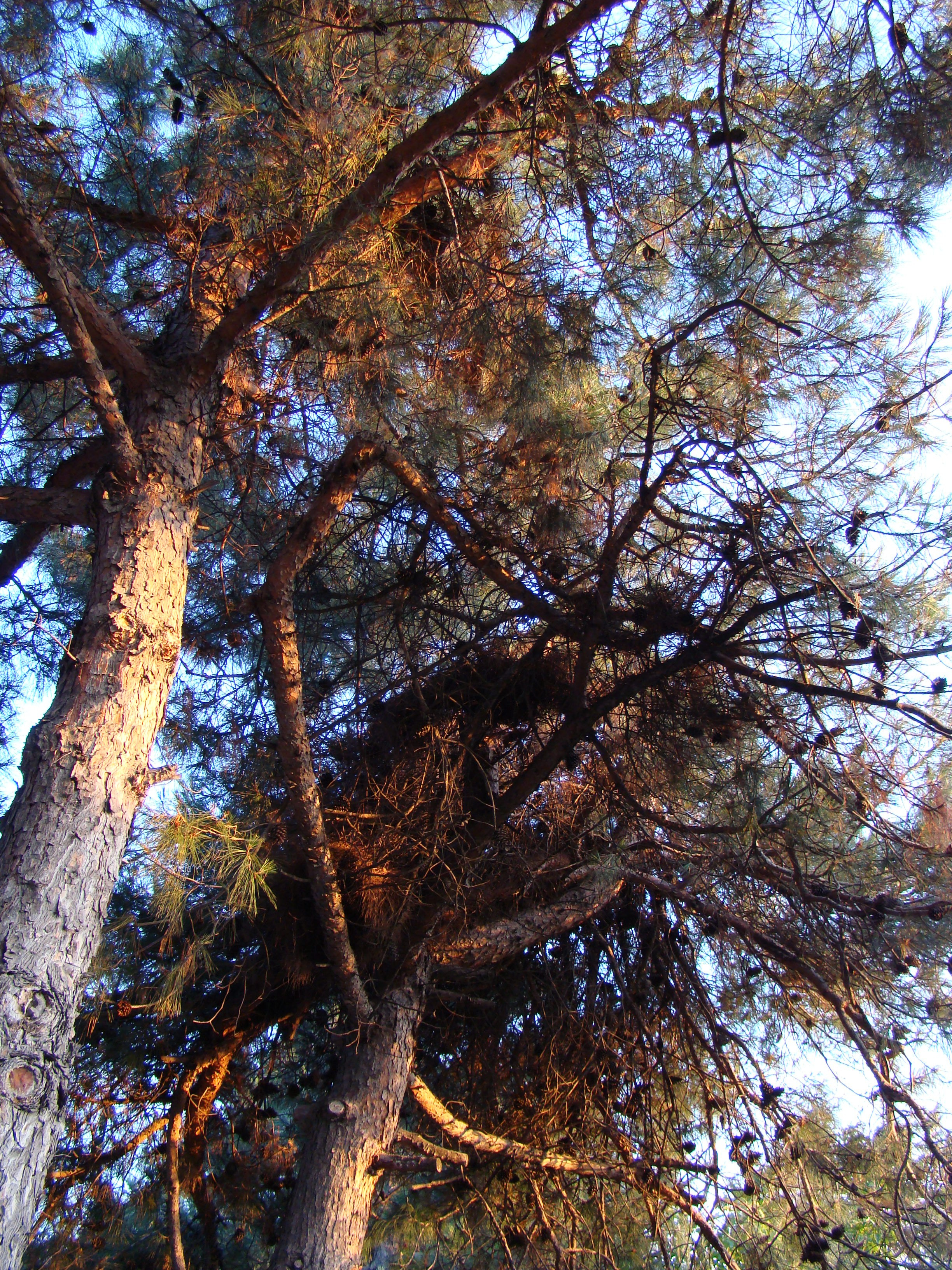 Кабардинка (фото Зевиных) 25.06-24.07.2008. Семейный, Свадебный фотограф СПБ Питер— Романова Екатерина