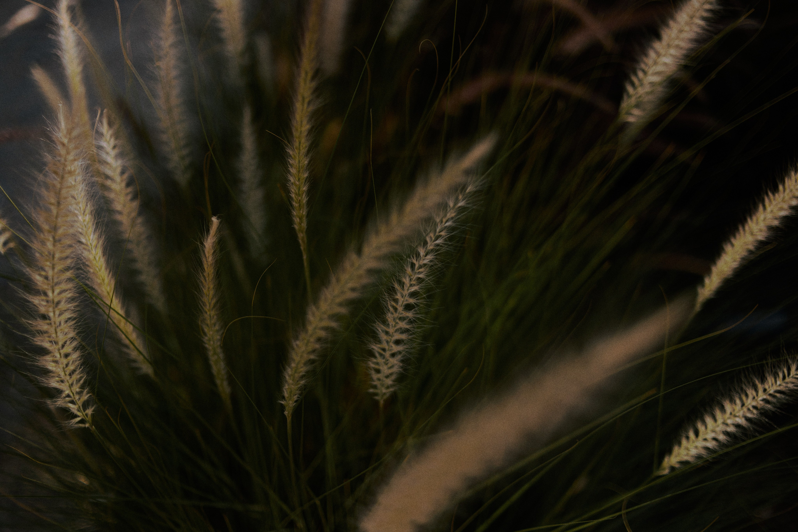 Улица горизонтальная. Jorgis — фотограф в Хургаде / обучение фотографии