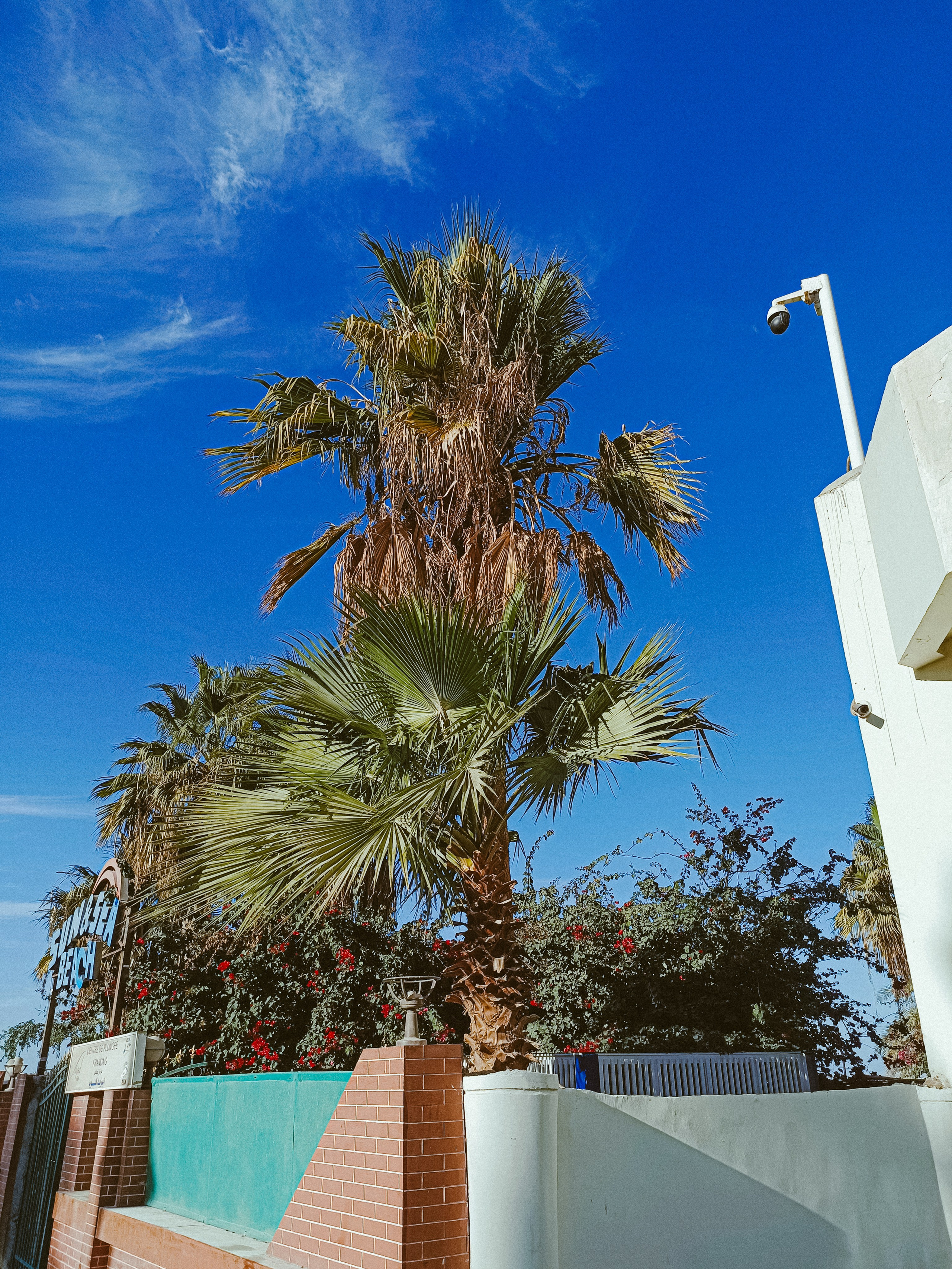 Мобильная. Jorgis — фотограф в Хургаде / обучение фотографии