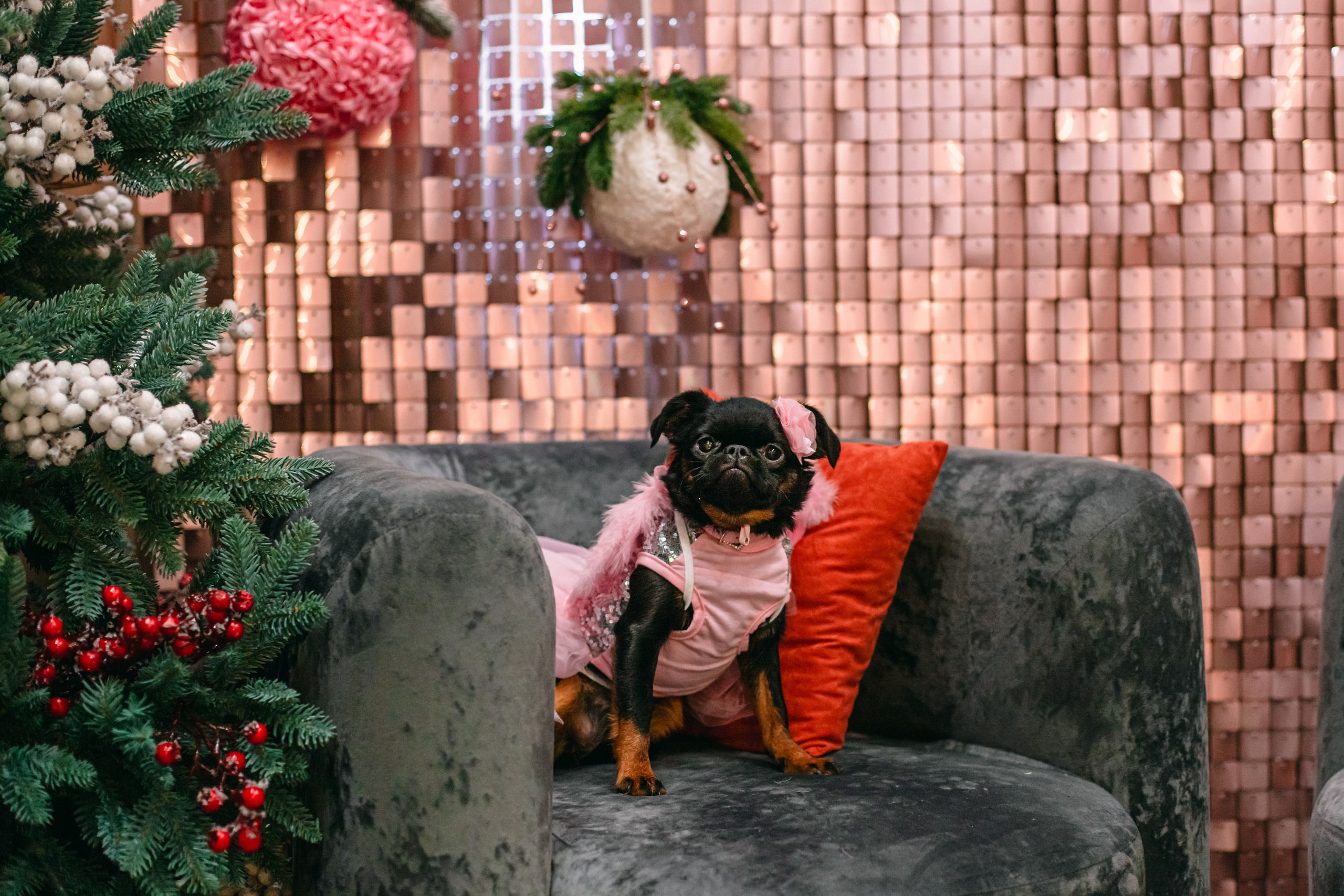 Бульёлка 2024. Фотограф-анималист Татьяна Степанова