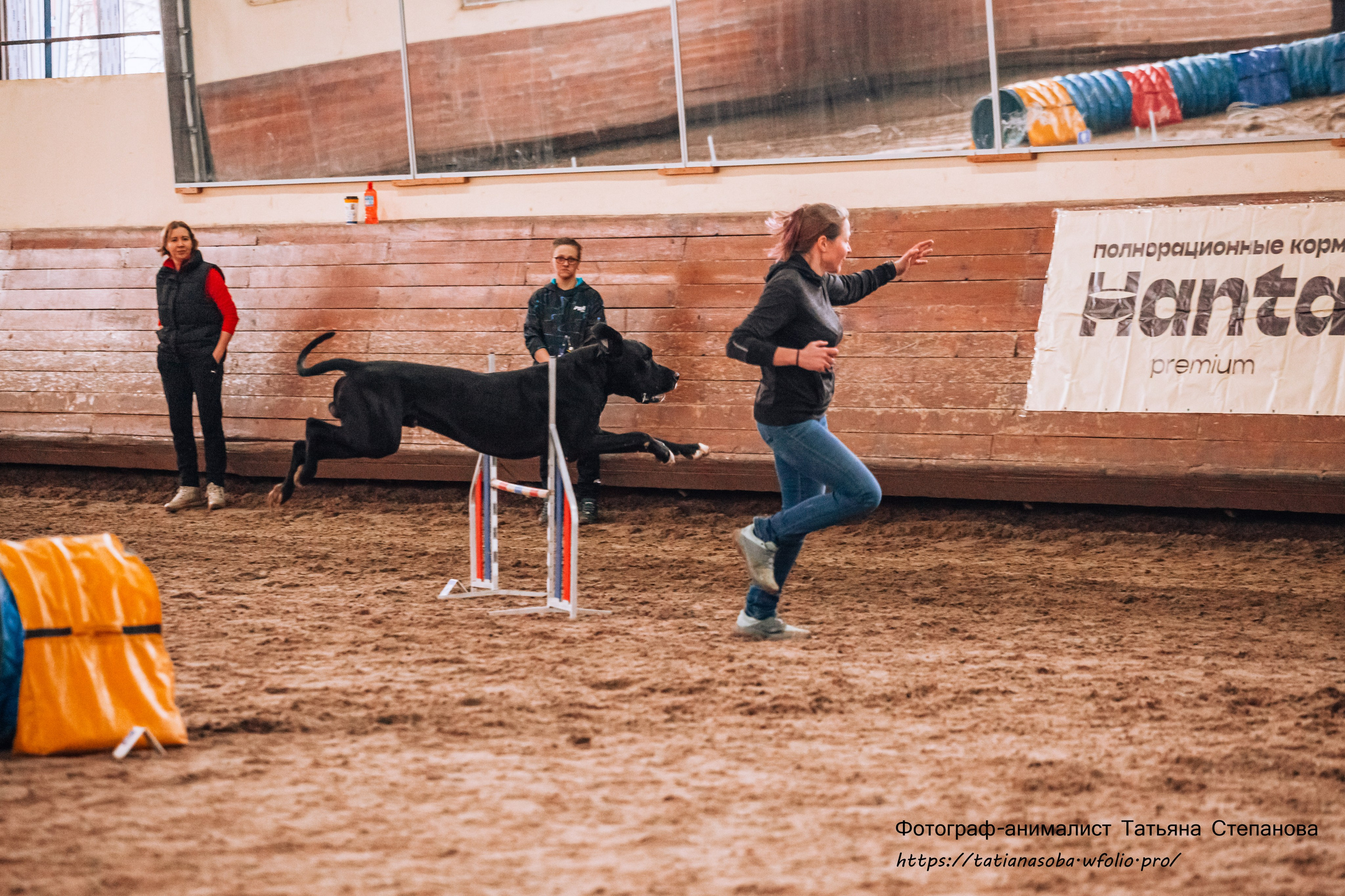 Соревнования по Аджилити 25.02.2024. Фотограф-анималист Татьяна Степанова