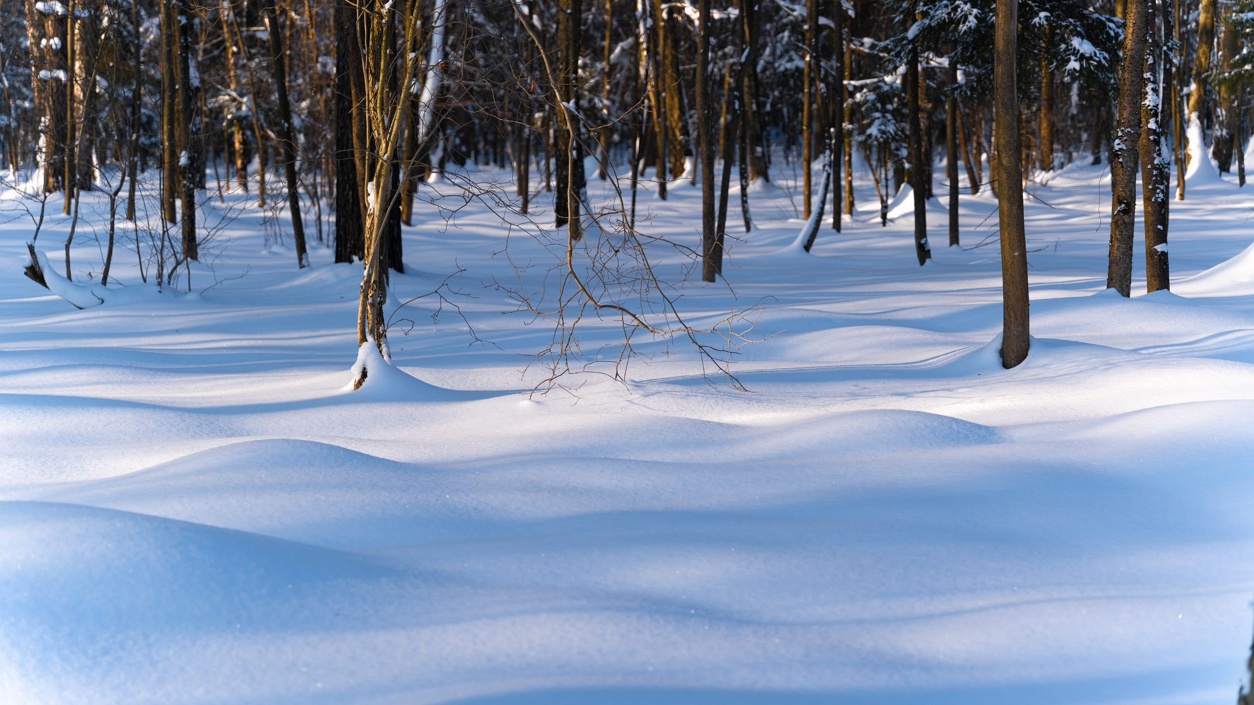 ПЕРЕДЕЛКИНО. ПОБУДЬ ЗДЕСЬ И ЦЕЛЕЕ БУДЕТ ЭТОТ МИР