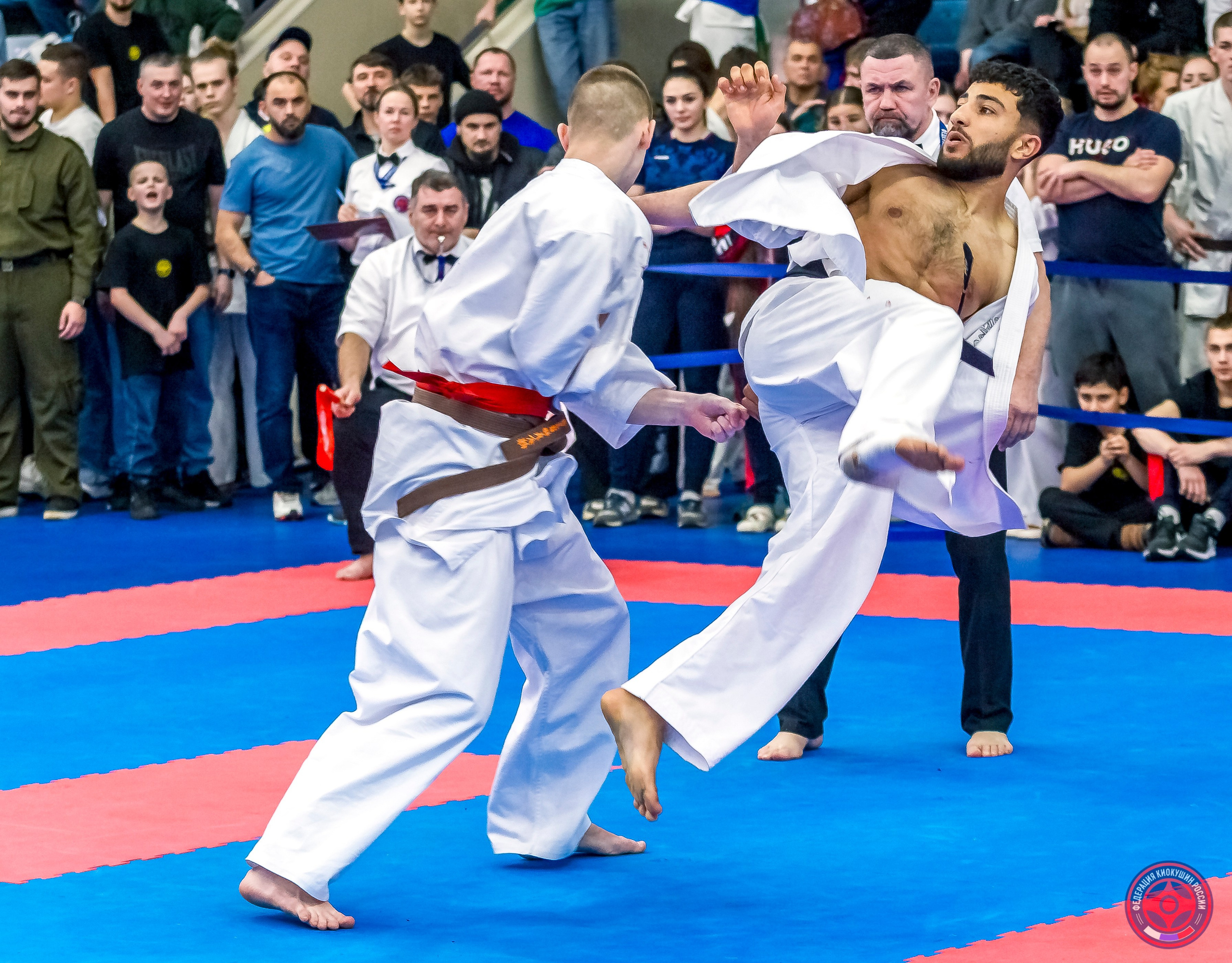 Международный турнир по киокушин «Открытый кубок Seiken». Репортажная съемка в Москве и области. Анималистика