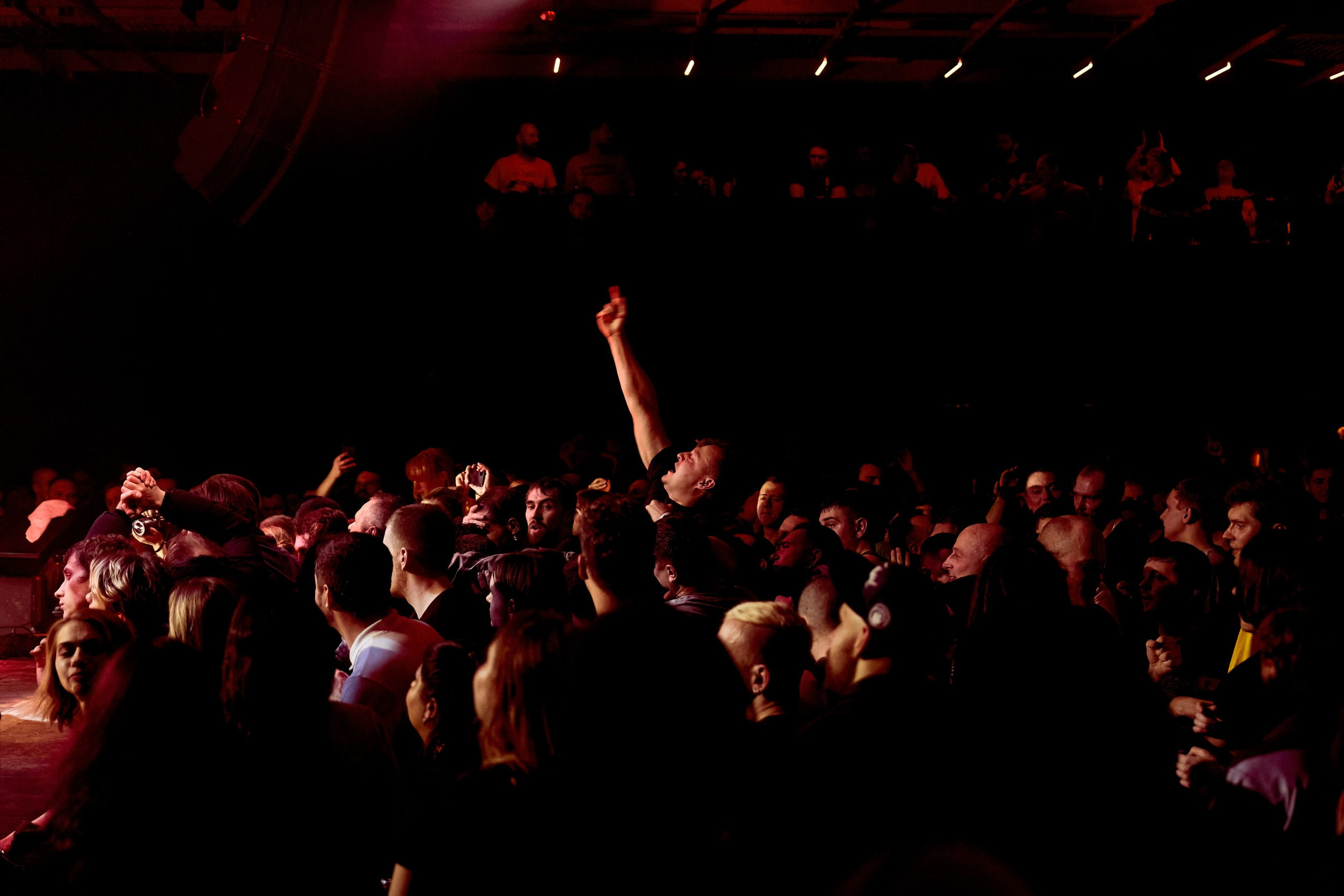 DISTEMPER / AGLOMERAT / 24.11.2023. Ekhovanov | фото- видеосъемка